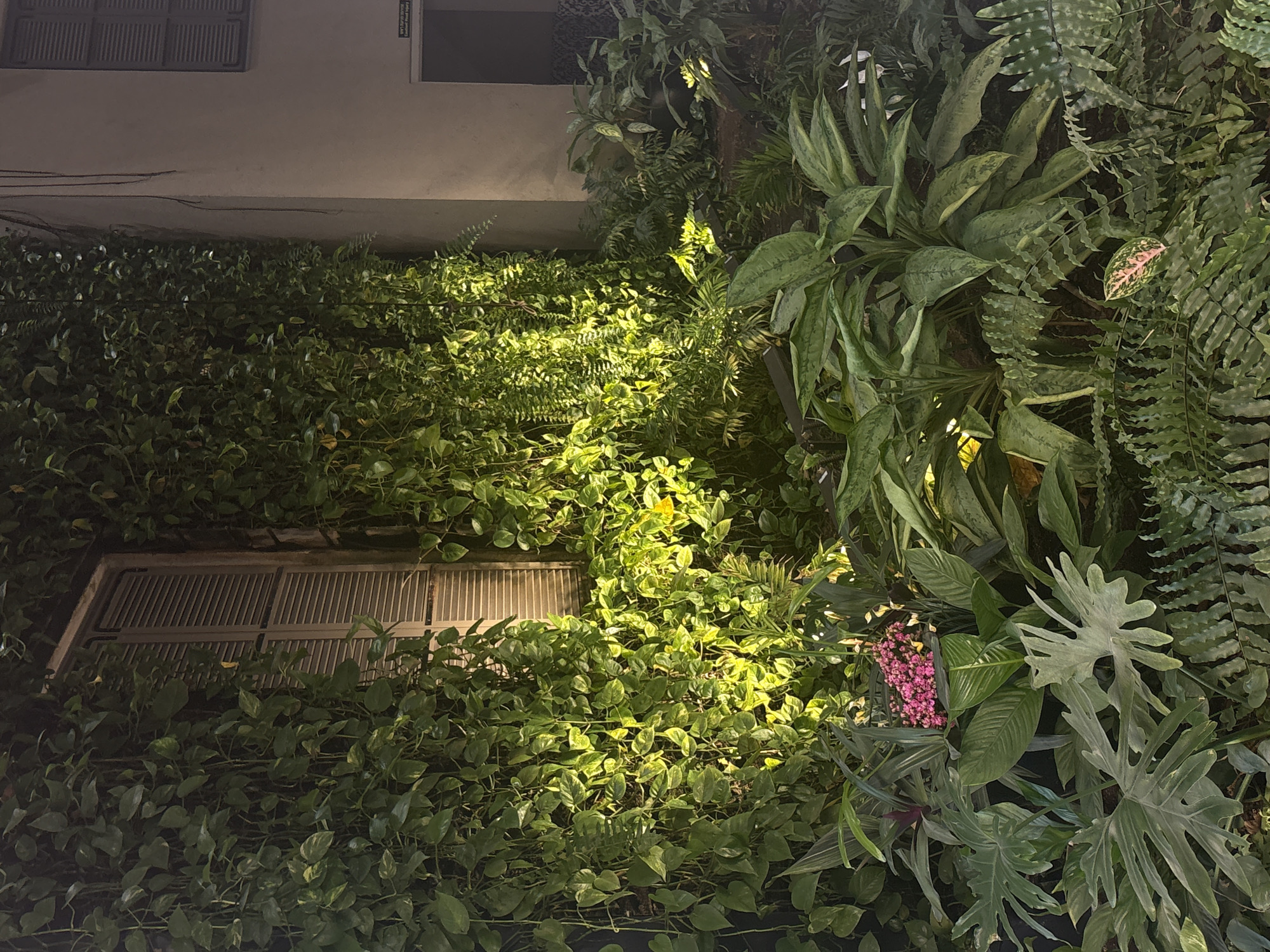 Vertical garden and floral display spotted in Tel-Aviv