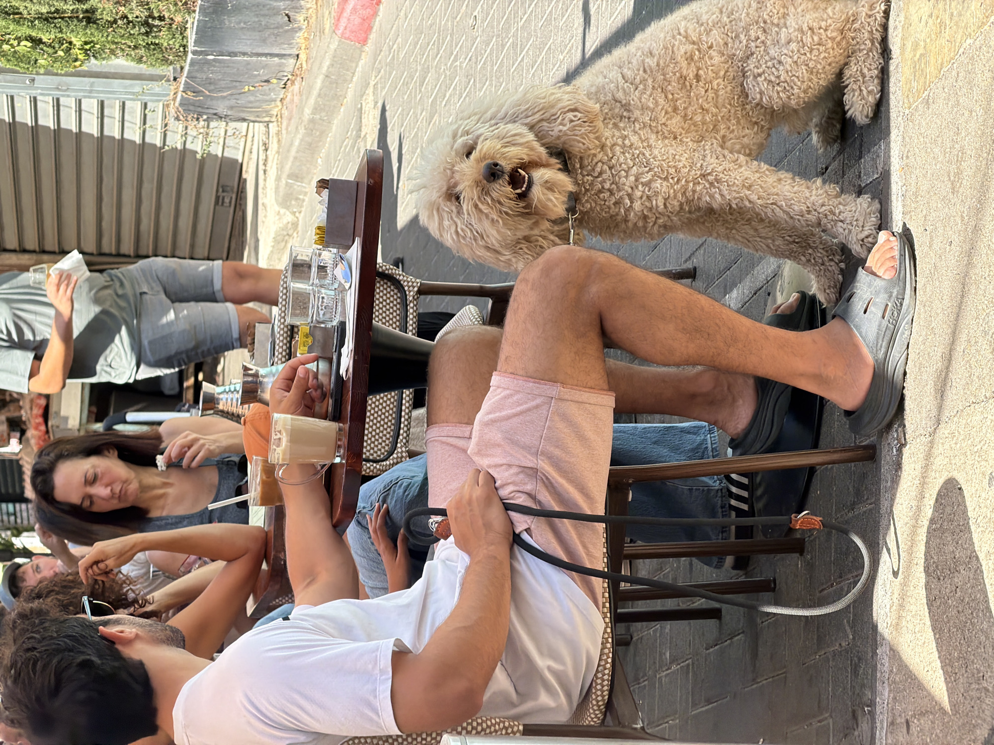 Morning cafe scene with diners and dog in Tel-Aviv