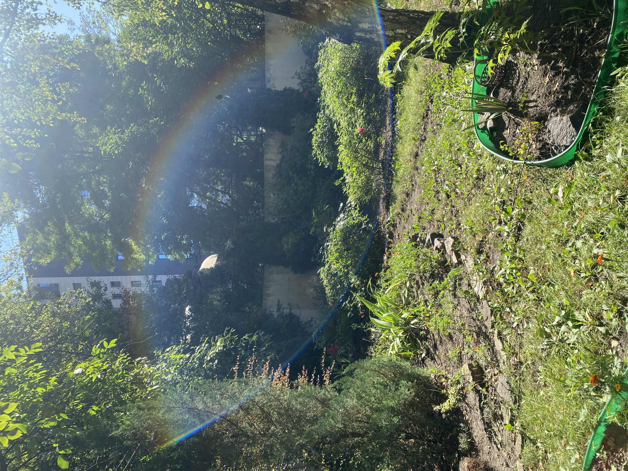 Sunny morning city scenes with a backyard rainbow