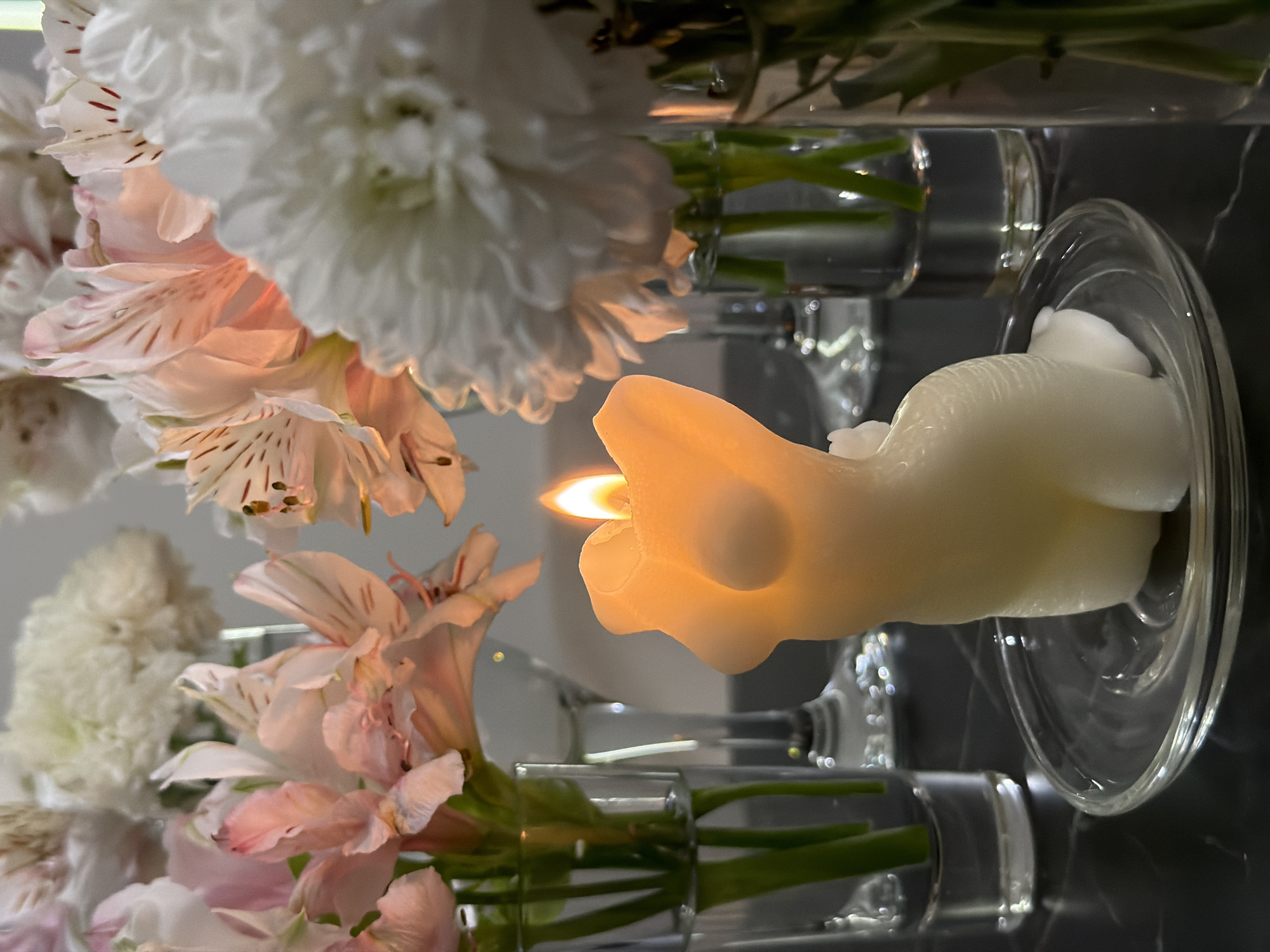 Artistic still-life arrangement documented in Almaty apartment or gallery