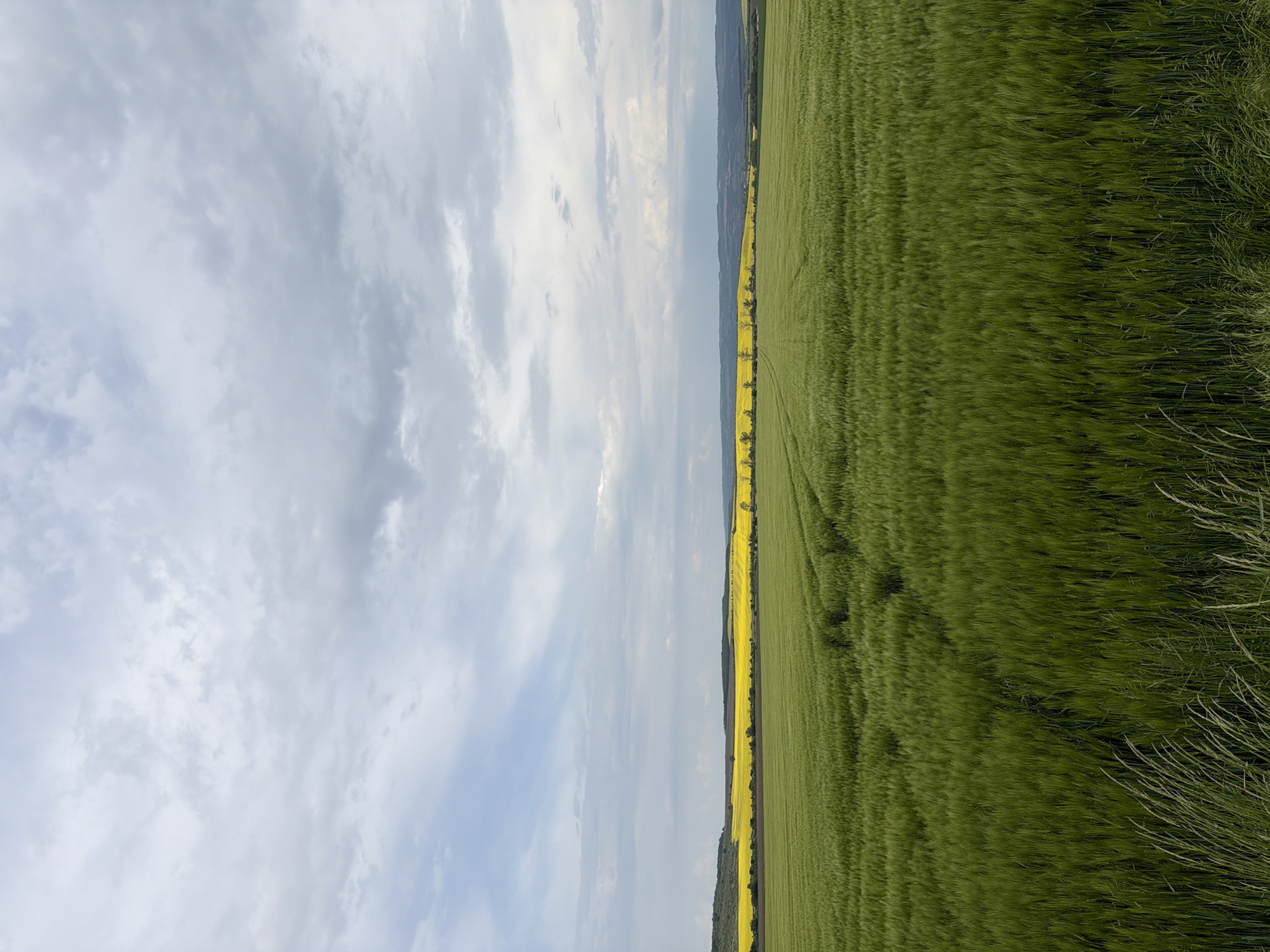 Spring agricultural landscape observed near Goran, Bulgaria