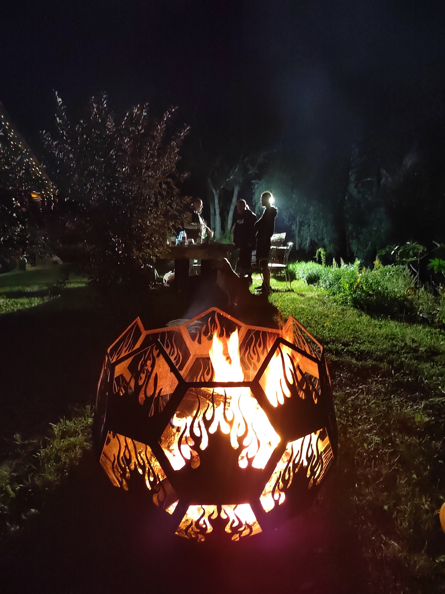 Backyard fire pit gathering in Biysk on a summer night