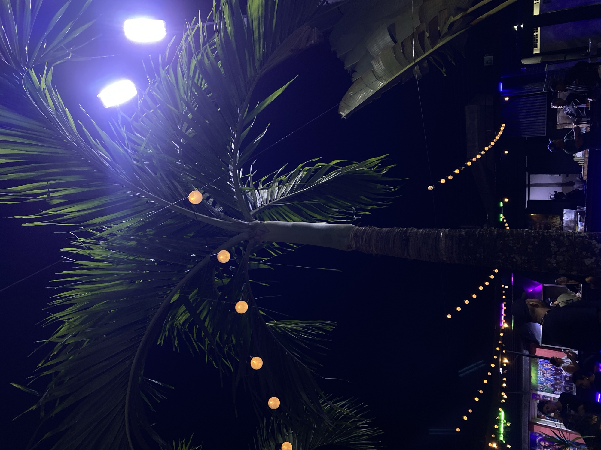 Nighttime scene documented in Tinaquillo with illuminated palm tree, parked SUV