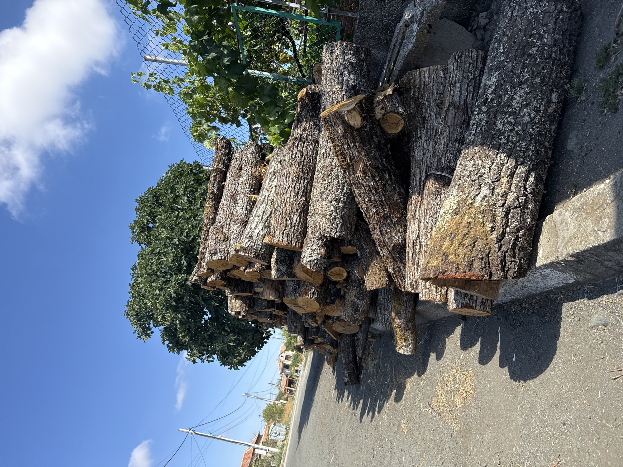 Log stacks and foraging in a quiet Bulgarian village