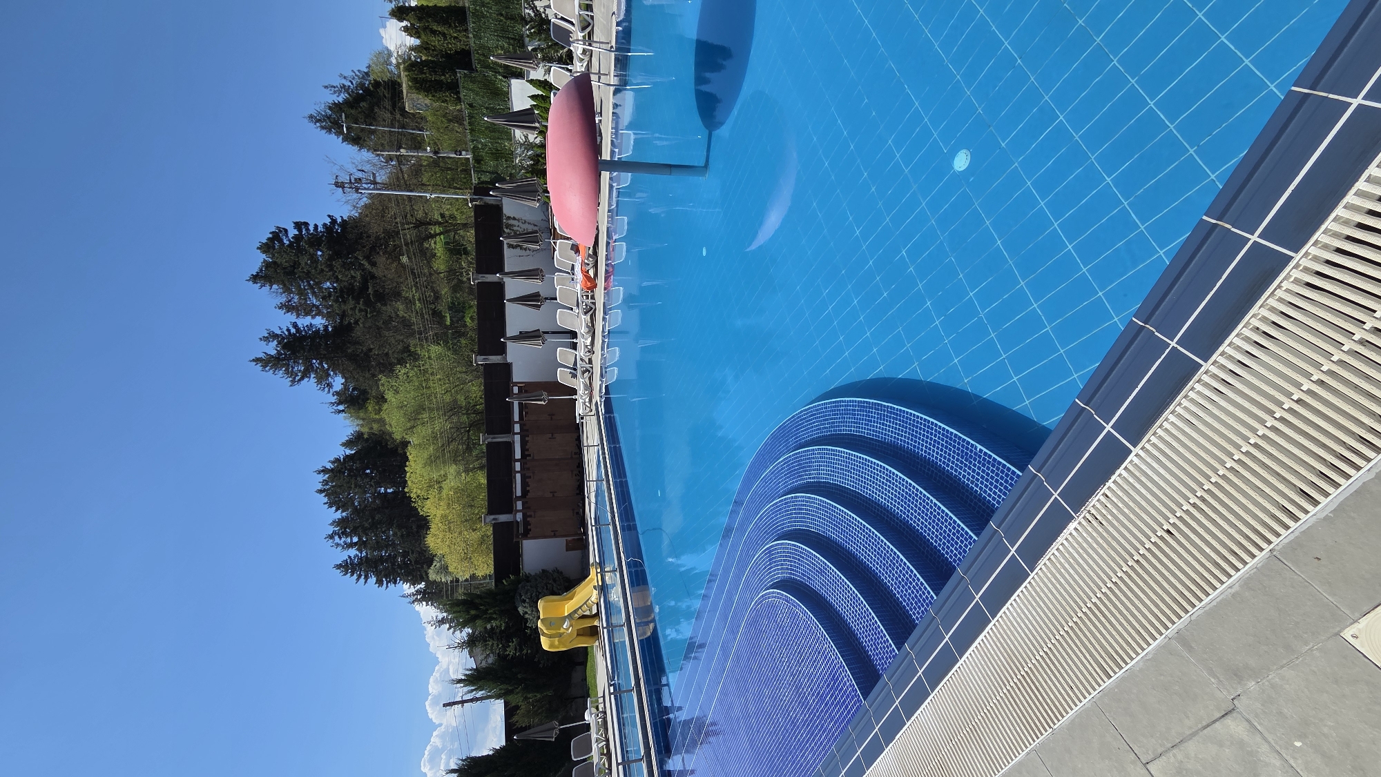Backyard scenes documented: pool, patio, robotic mower, rock formations