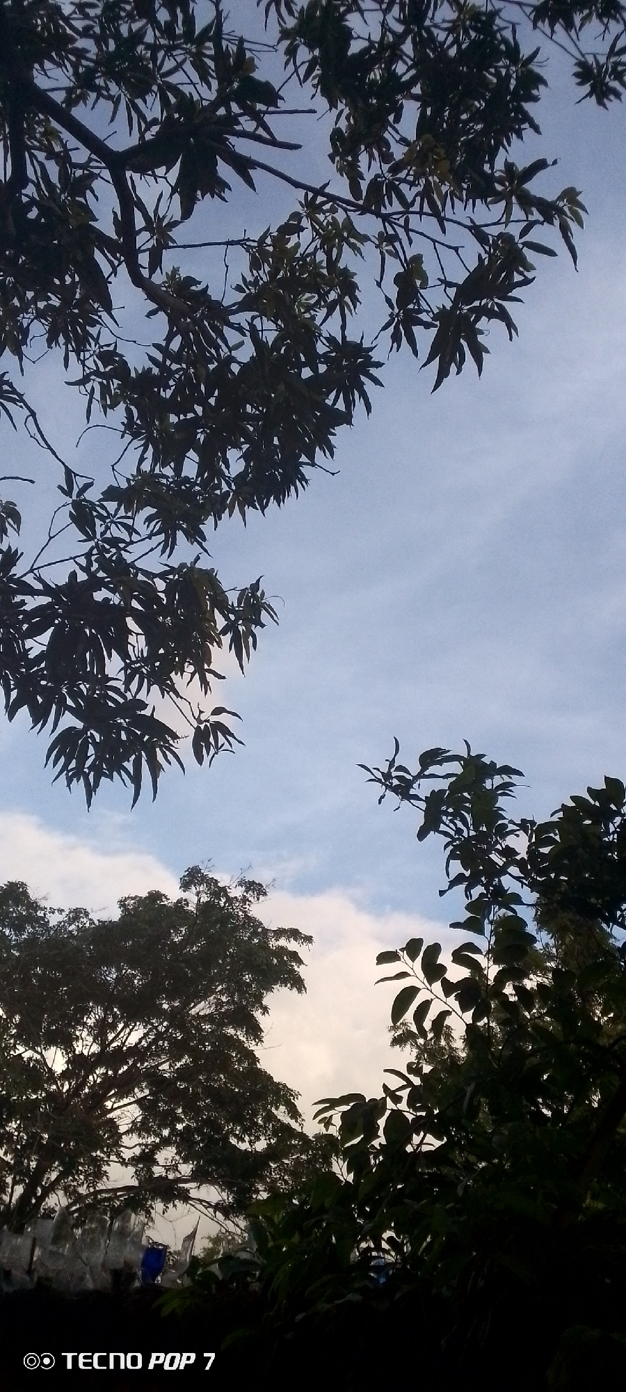 Dusk settles over Altagracia, framed by trees and walls.