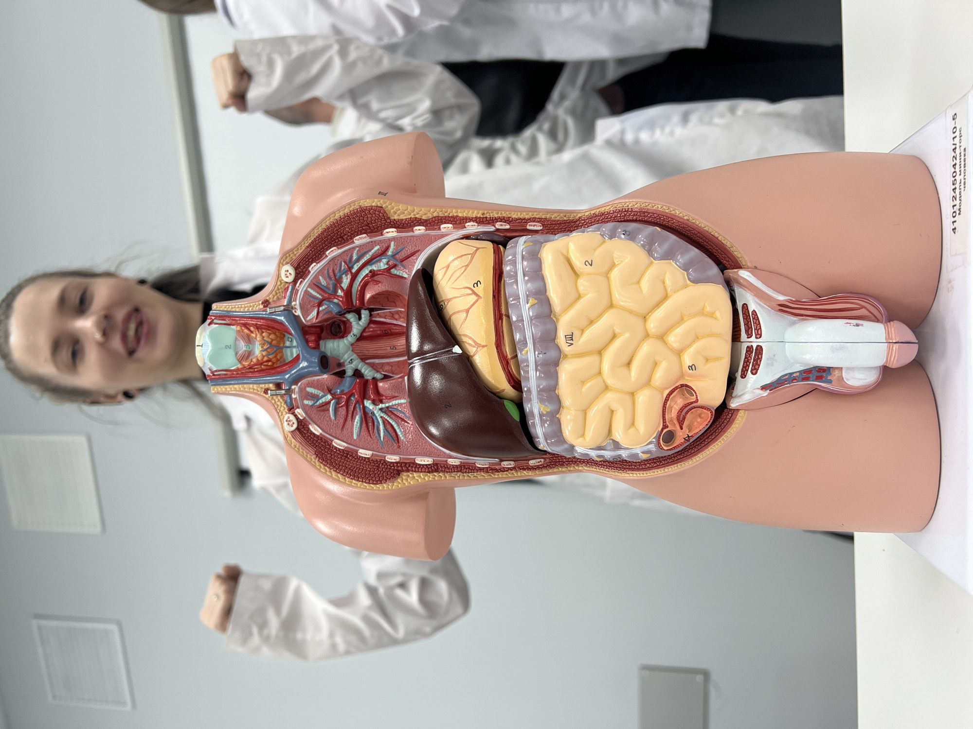 Medical demonstration with anatomical model witnessed in Moscow