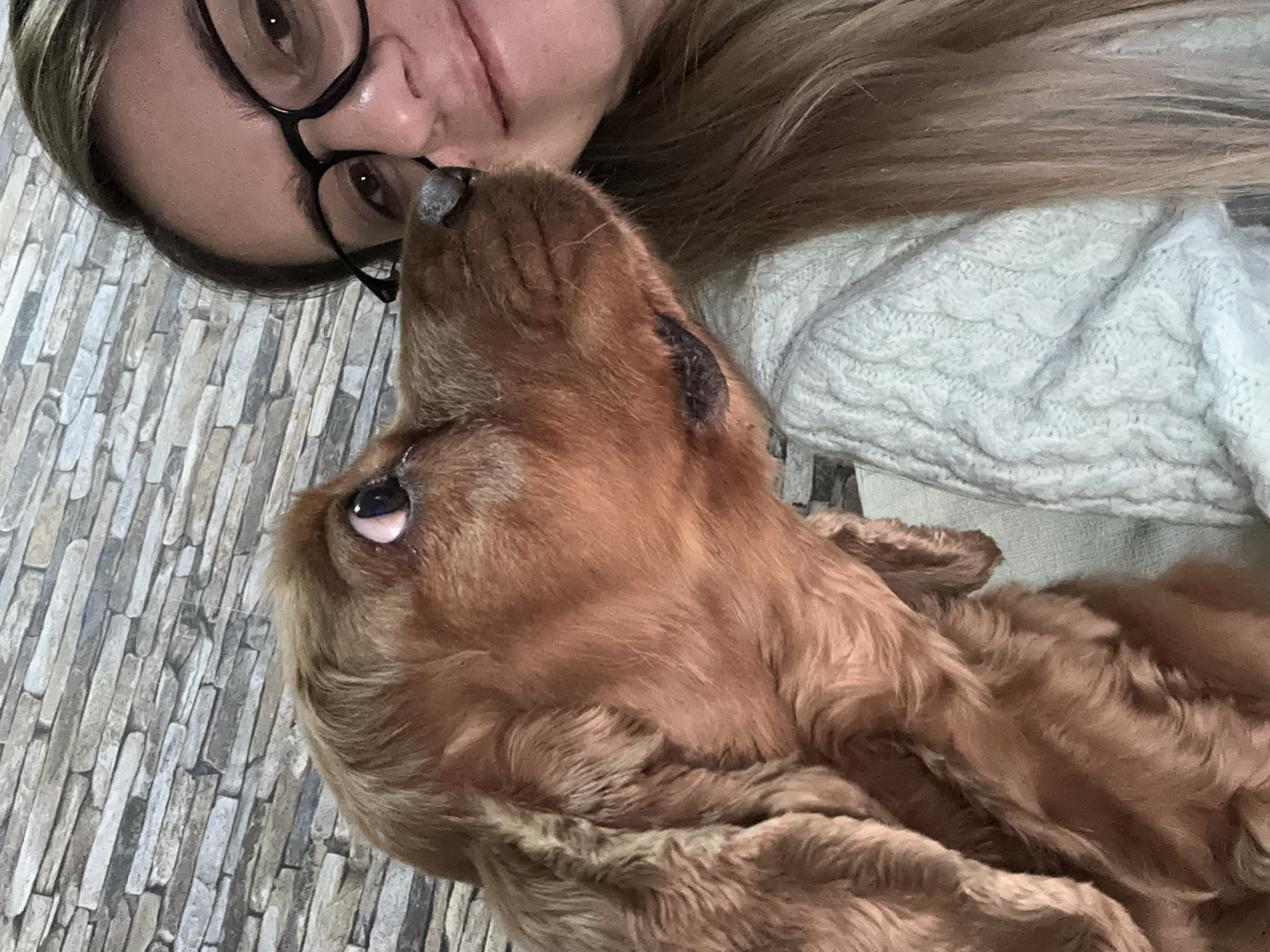 Woman shares tender moment with Cocker Spaniel in Sofia
