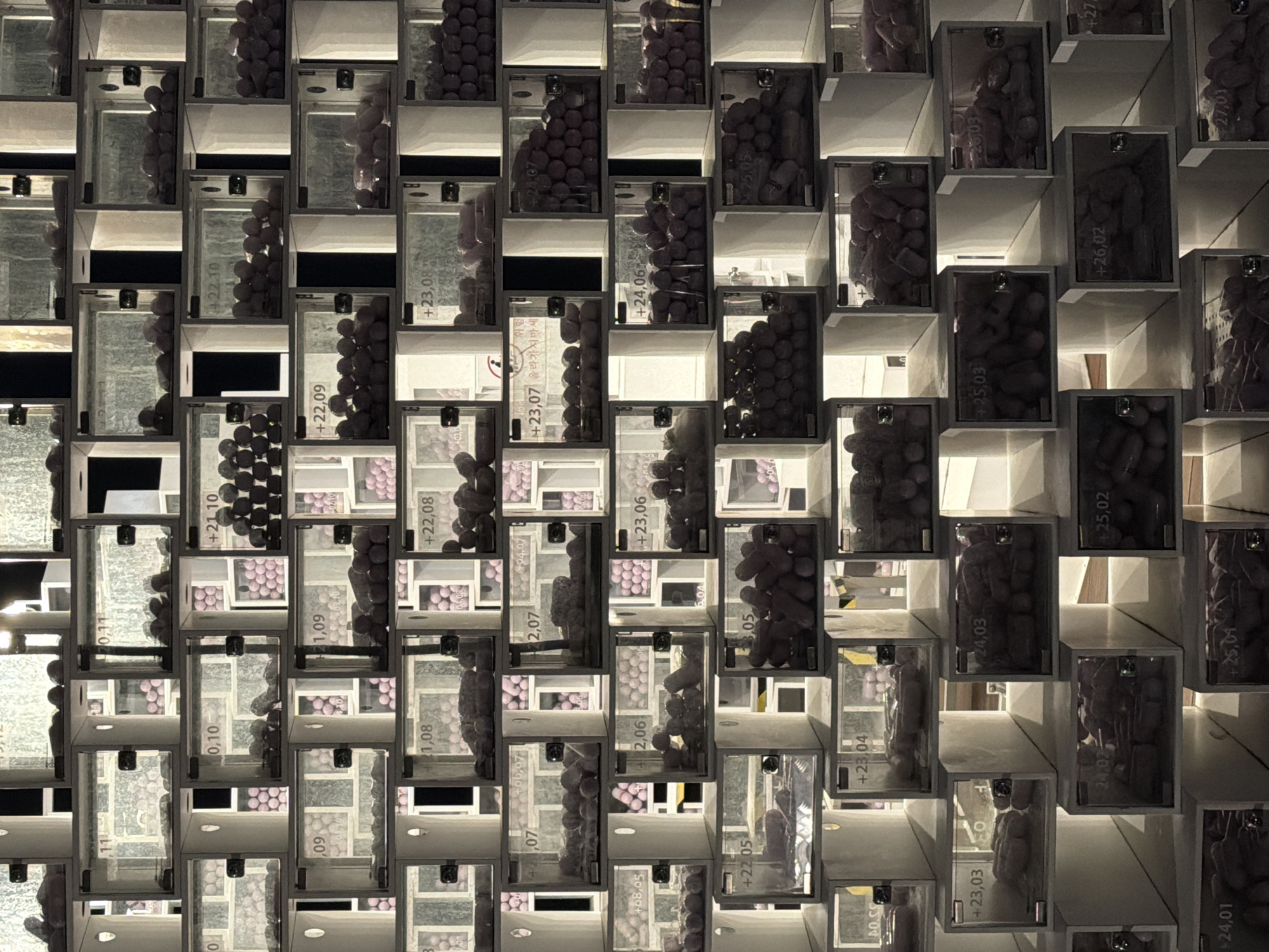 Wall box installation observed in interior space in Busan