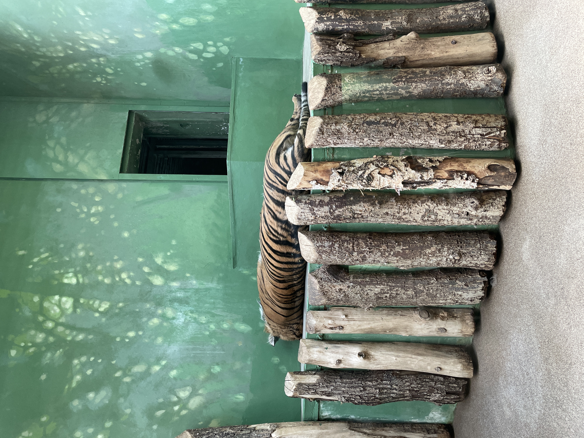 Prague Zoo animals documented across multiple exhibits