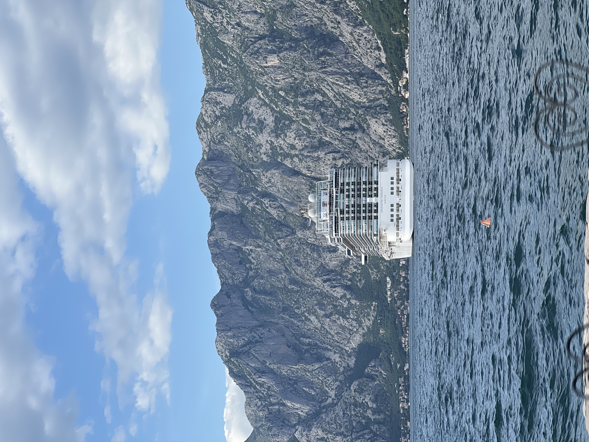 Enchanted Princess cruise ship anchors off Montenegro coast