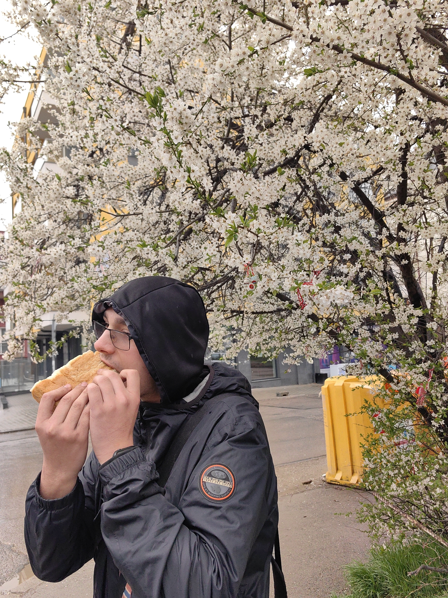 Morning scenes captured across Sofia showing daily life