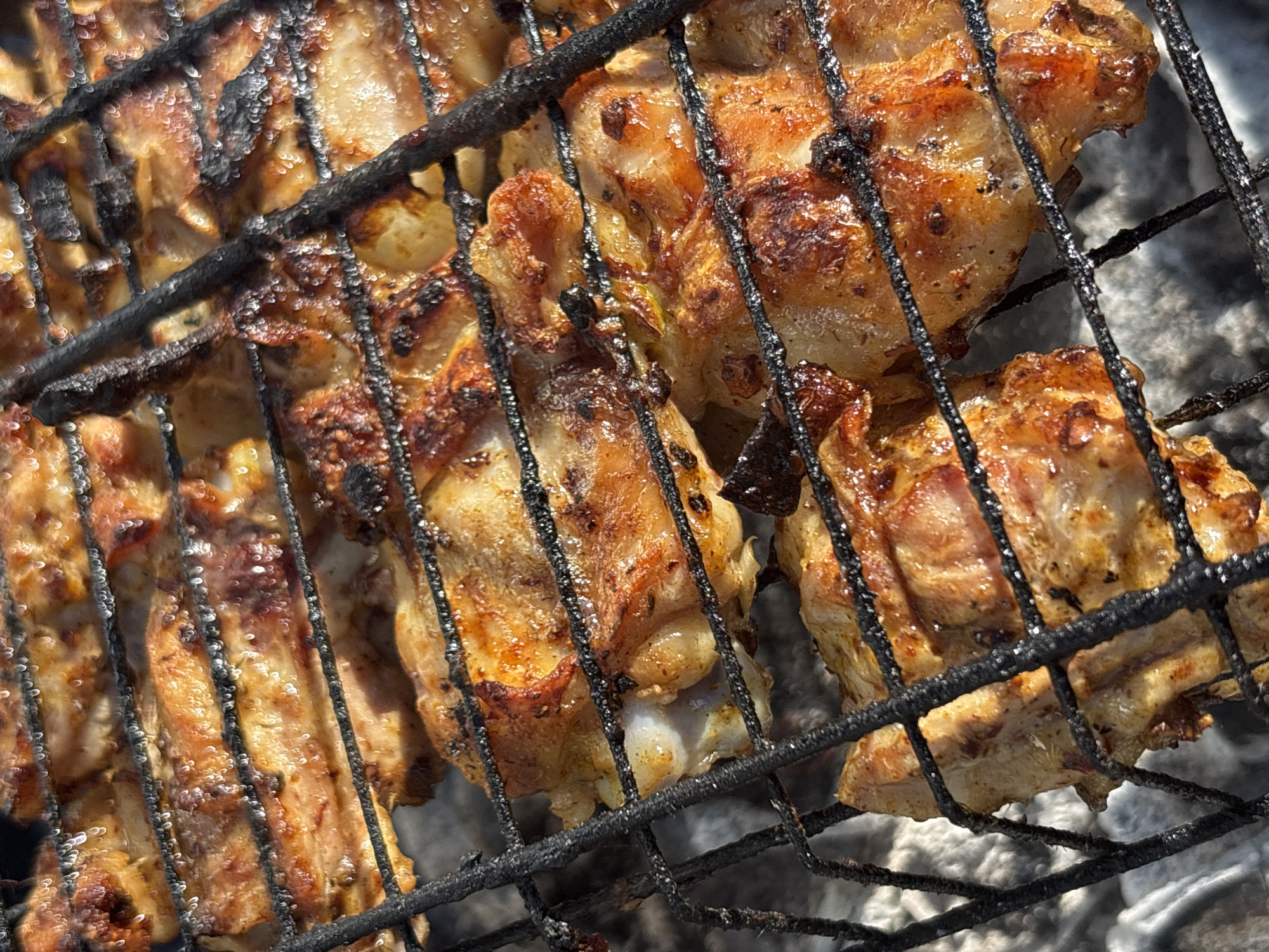 Person documents outdoor grilling session with chicken and firewood