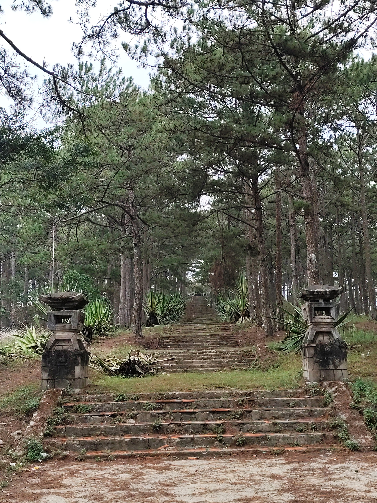 Ancient stone temple complex documented in Đà Lạt forest
