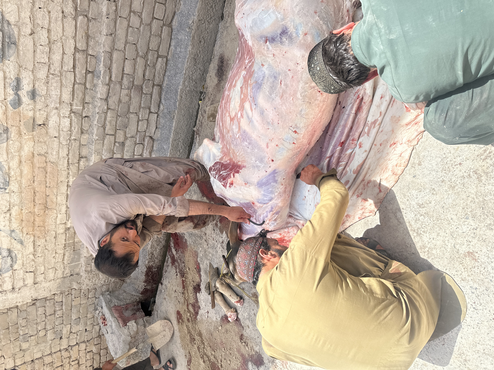 Men butcher large animal carcass in Quetta courtyard