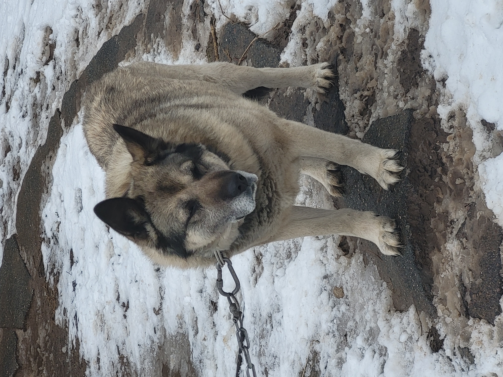 Winter scenes documented in rural Russian village Зипуново