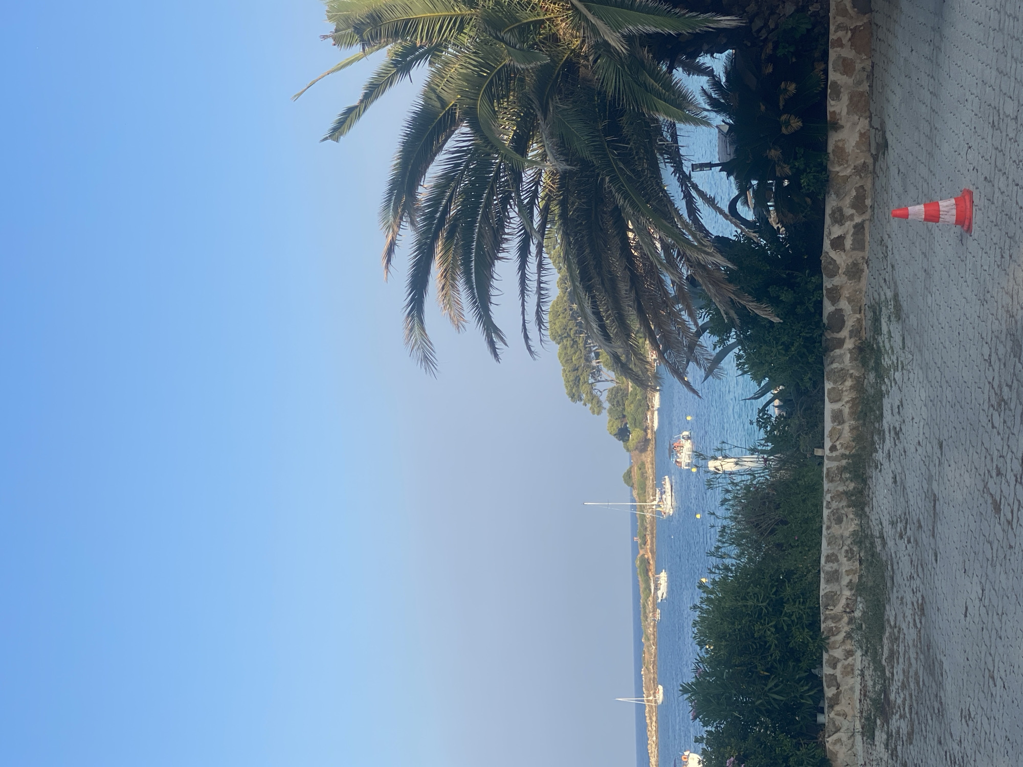 Quiet Cap d'Antibes streets, gated villas, and curious dogs