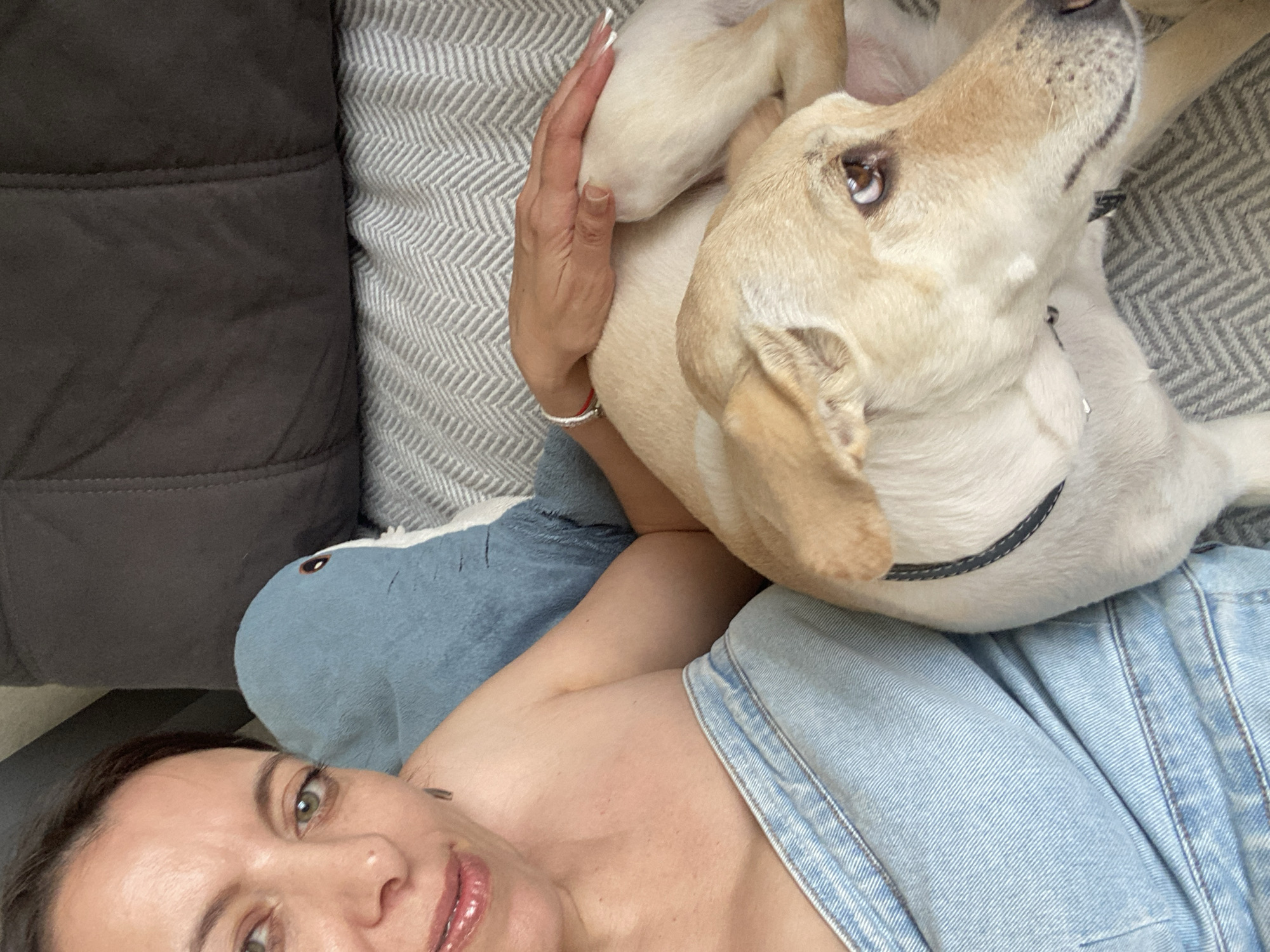 Dog relaxing on a couch in Tuymazy, Russia
