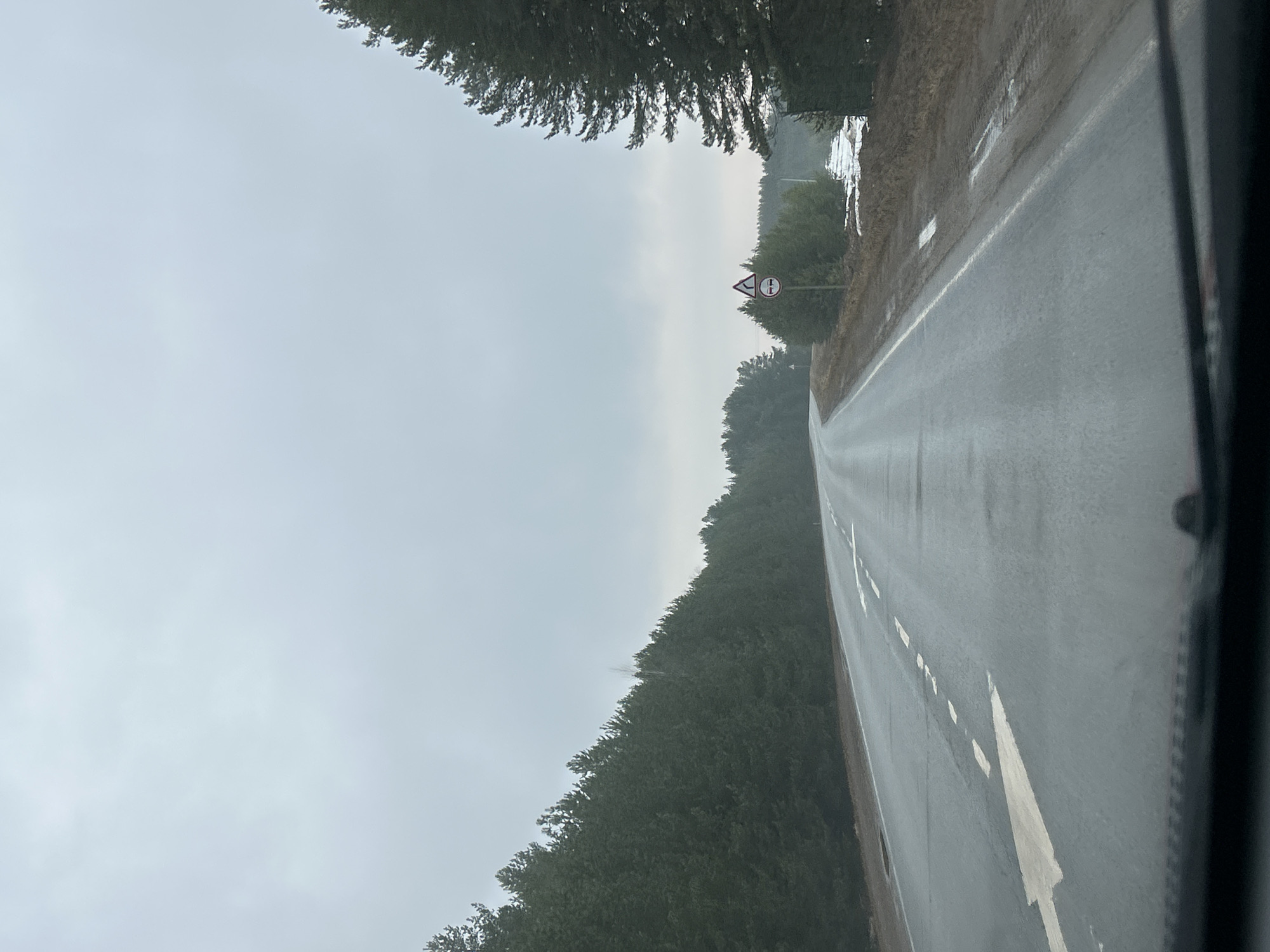 Rain-soaked forest road documented near Foki, Russia
