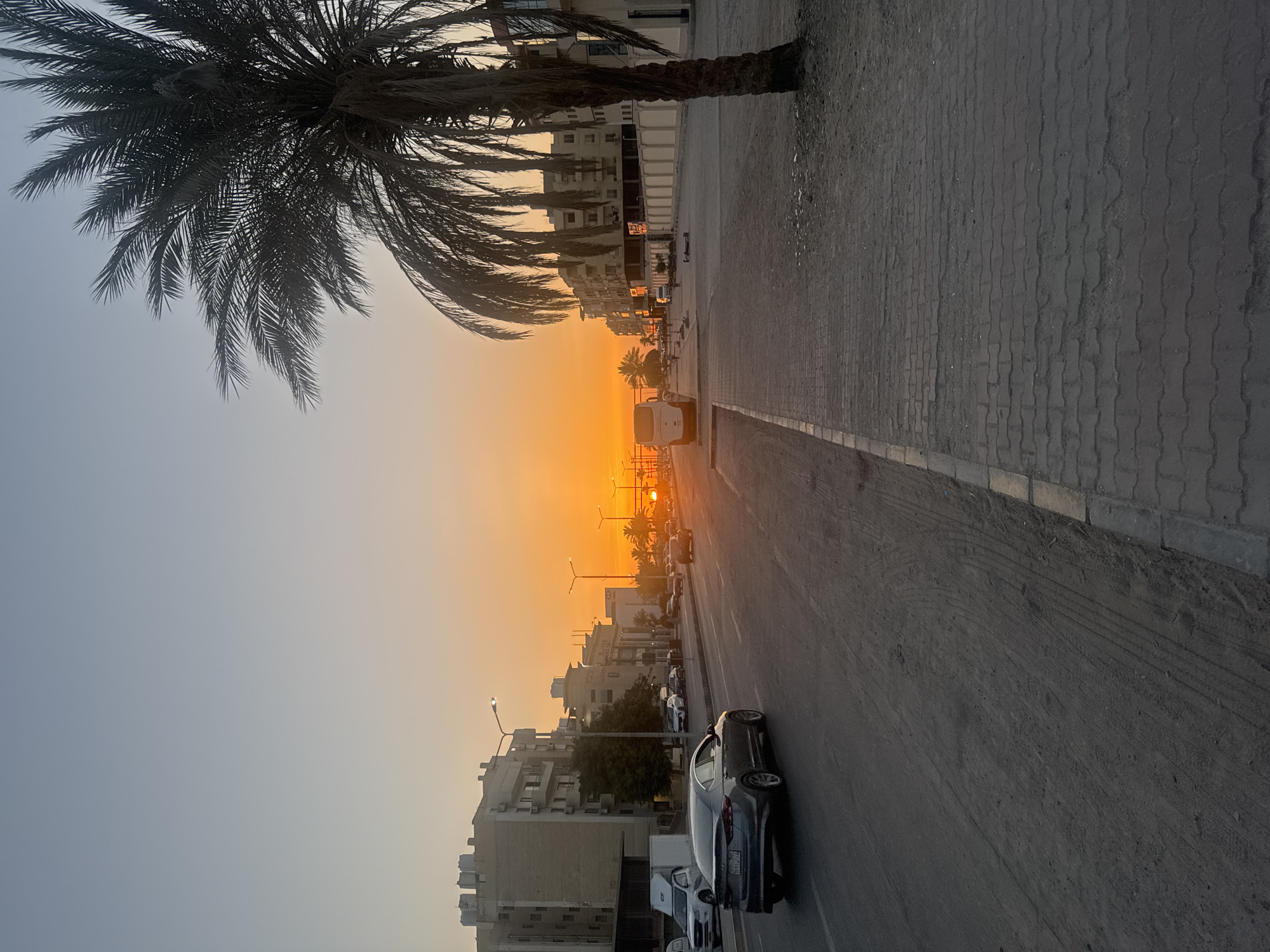 Sunset street scene with palm trees documented by witness