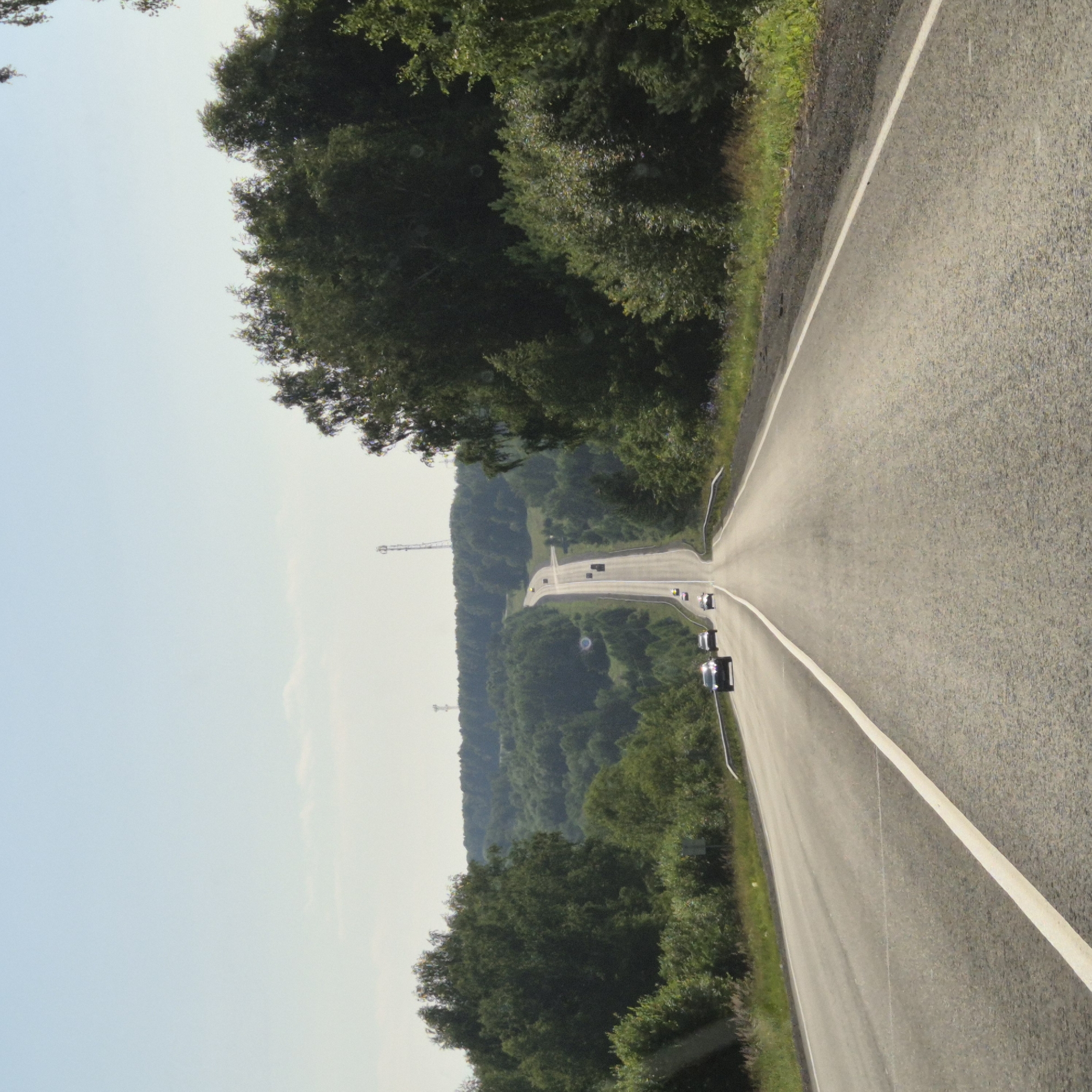 Tree-lined road curves uphill on the outskirts of Kemerovo