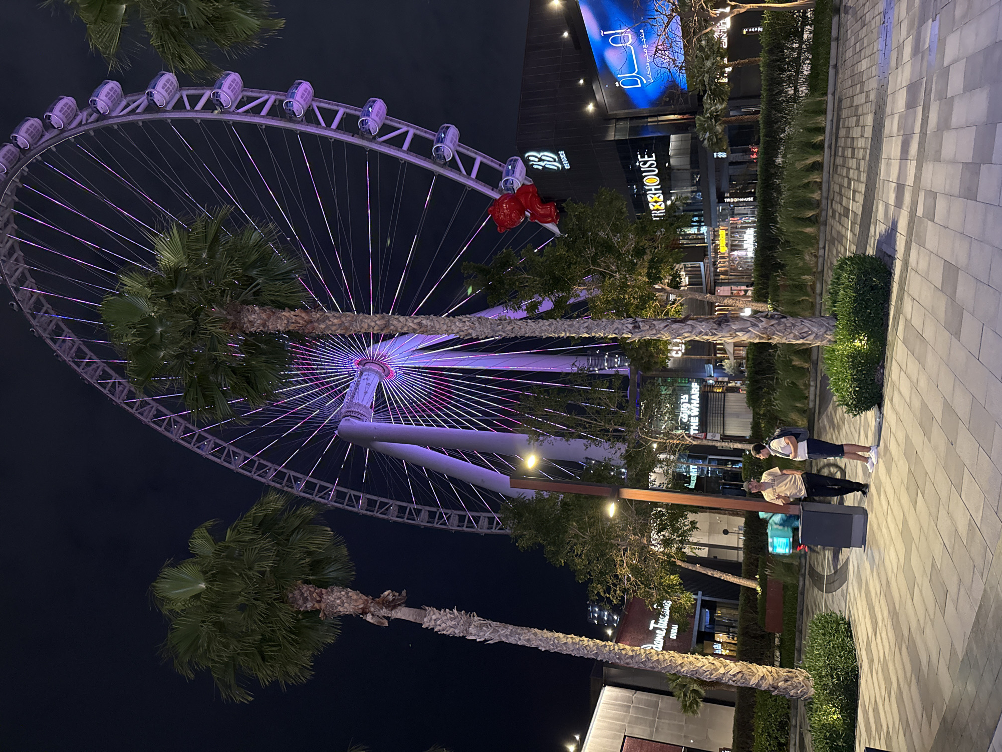 Ain Dubai ferris wheel glows blue and purple at night