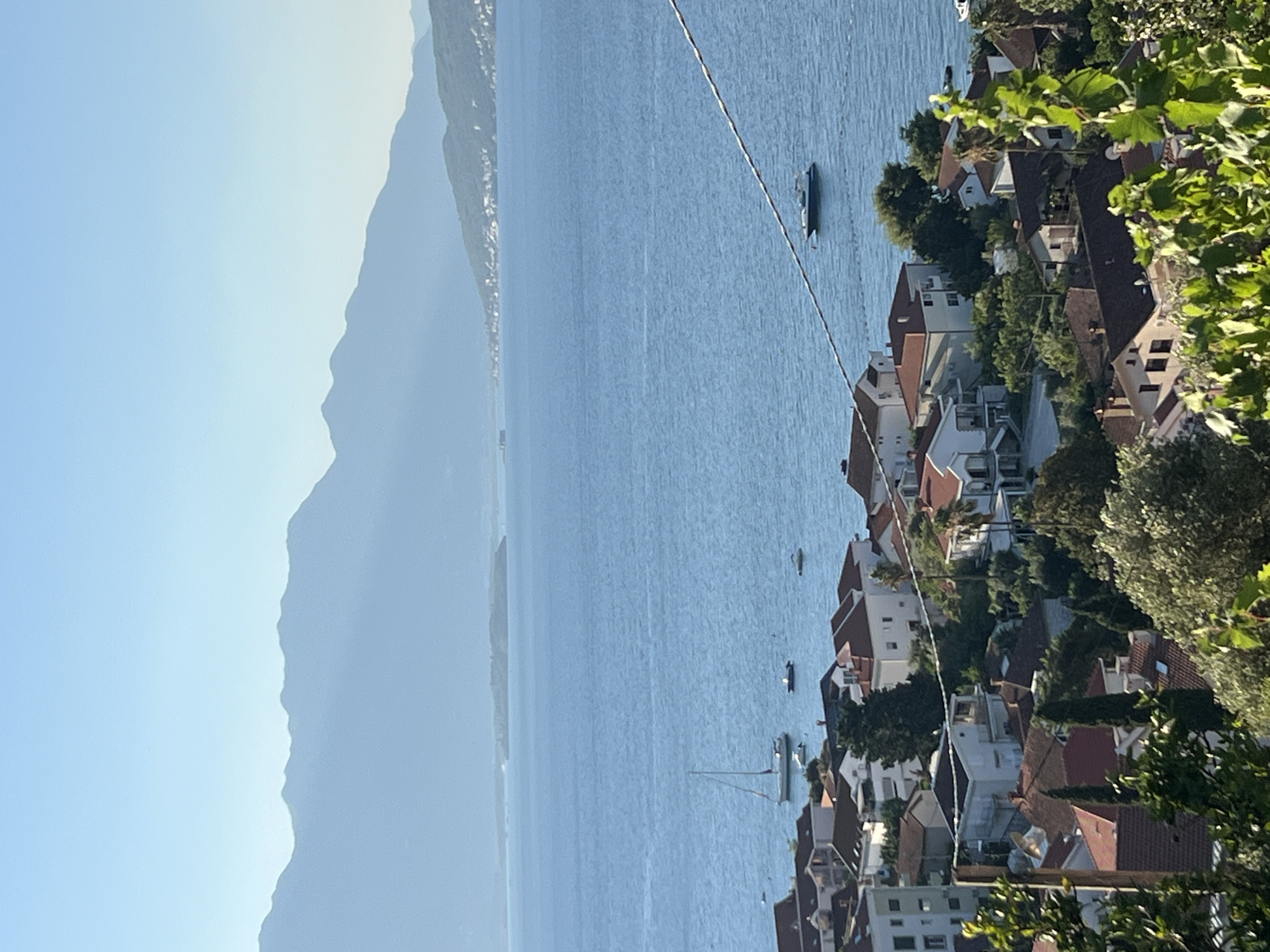 Cats, a dog, and Bay of Kotor views in Đenovići