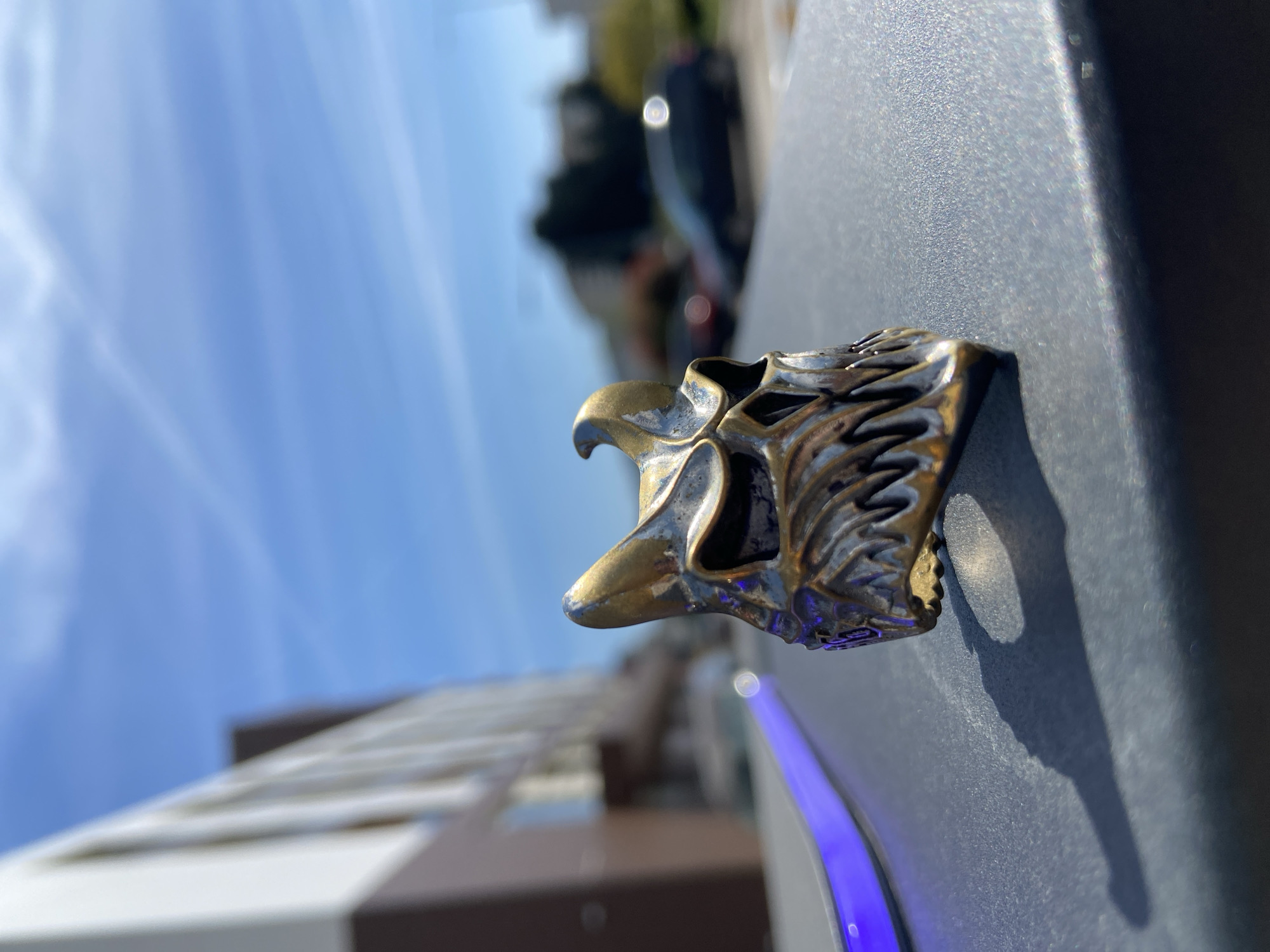 Brass eagle ornament spotted on metallic surface in Bar
