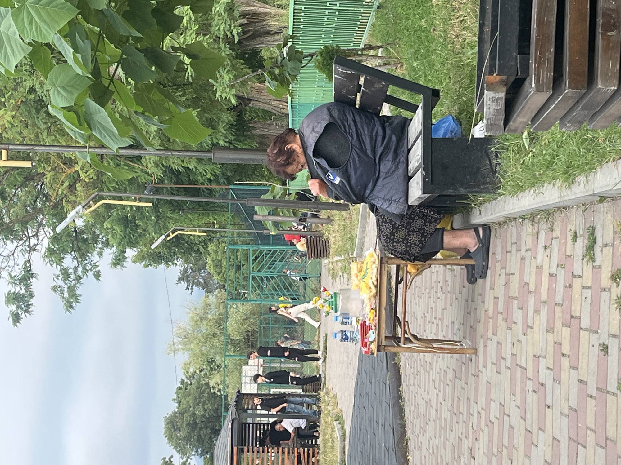 Everyday life in a public park on a quiet afternoon.