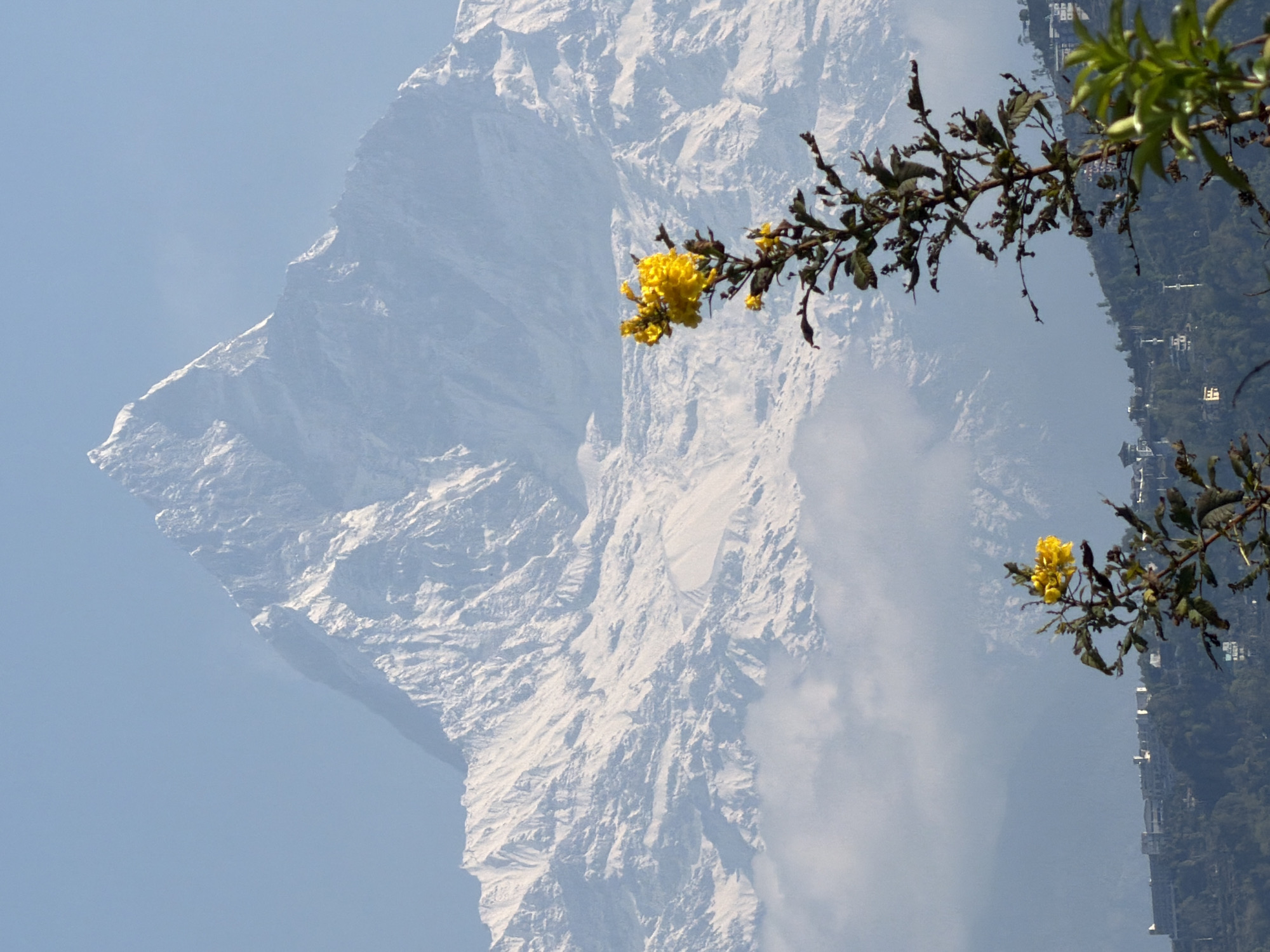 Morning scenes captured around Pokhara's mountains and Peace Pagoda