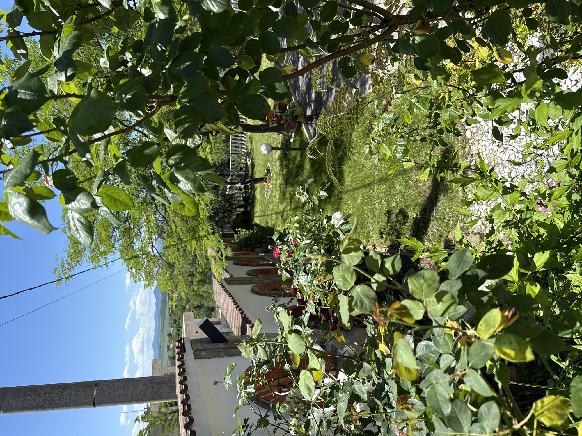 Garden scene captured in Haskovo, Bulgaria