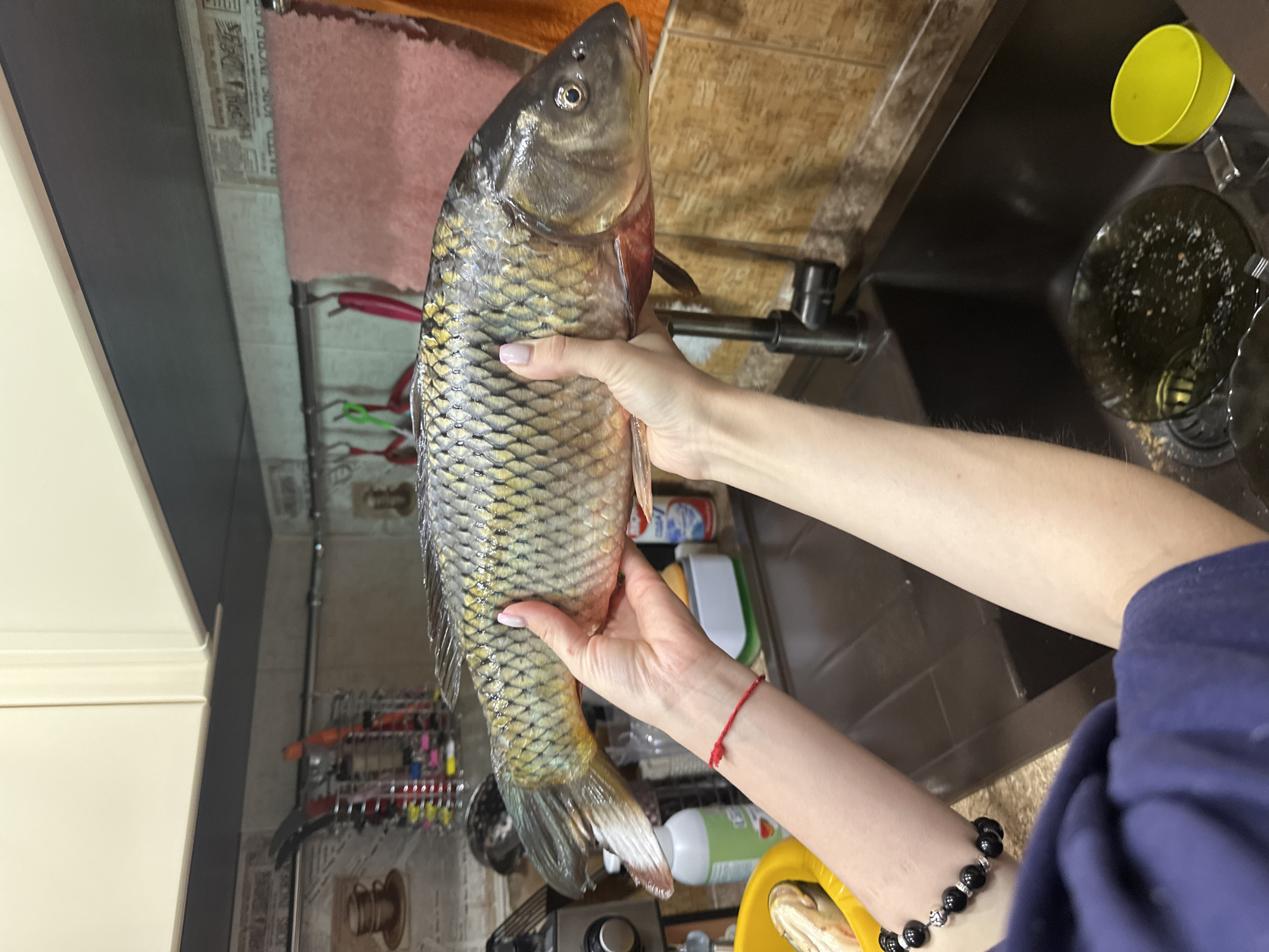Domestic fish preparation documented in Sayanogorsk kitchen