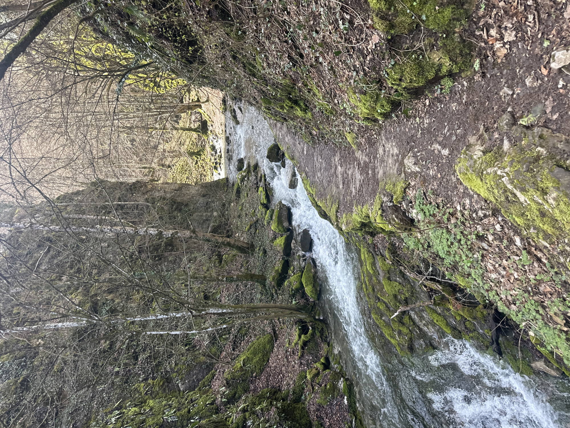 River and forest trail scenes documented in Teteven, Bulgaria