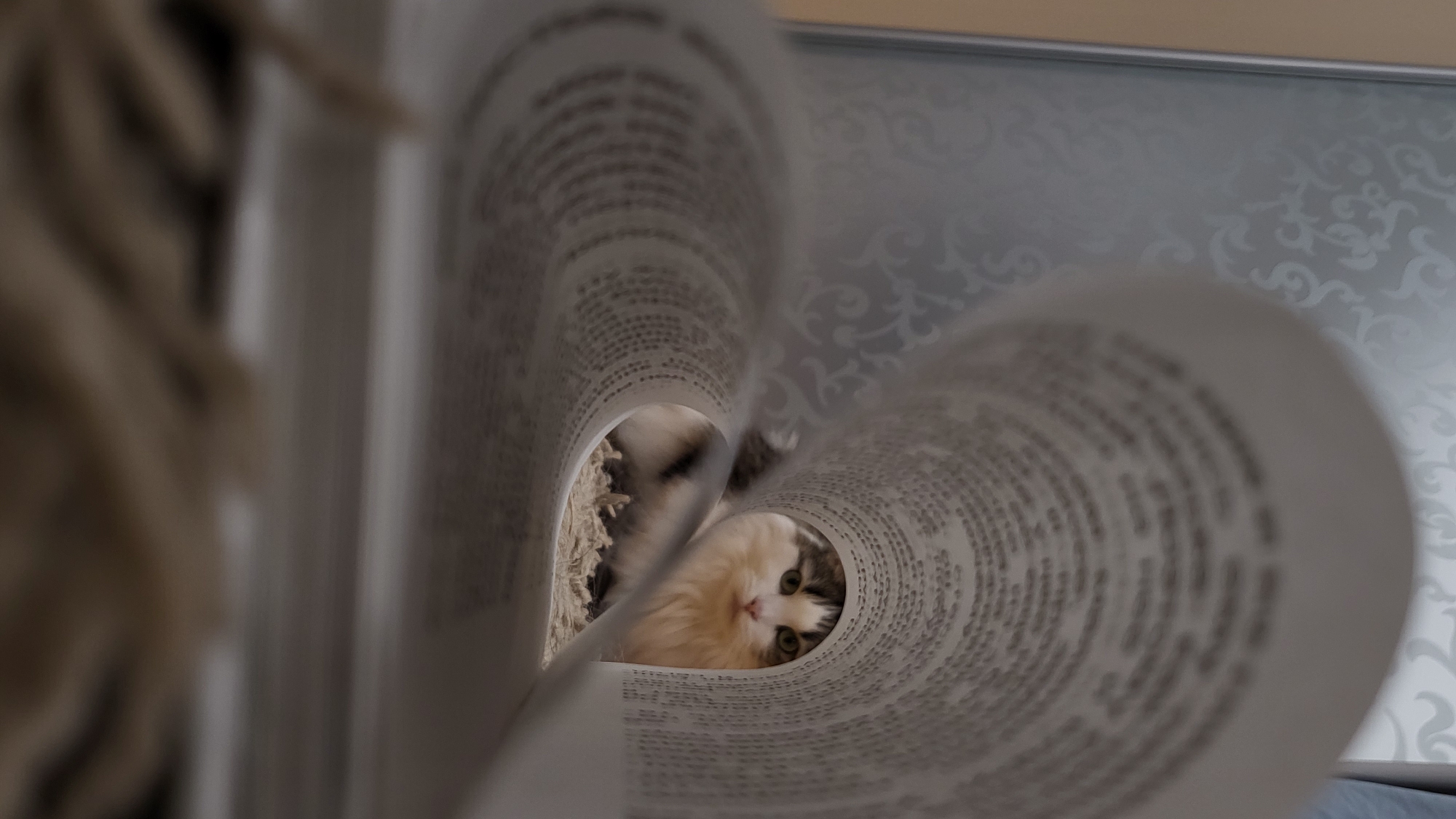 Everyday still lifes and snapshots from a home in Russia