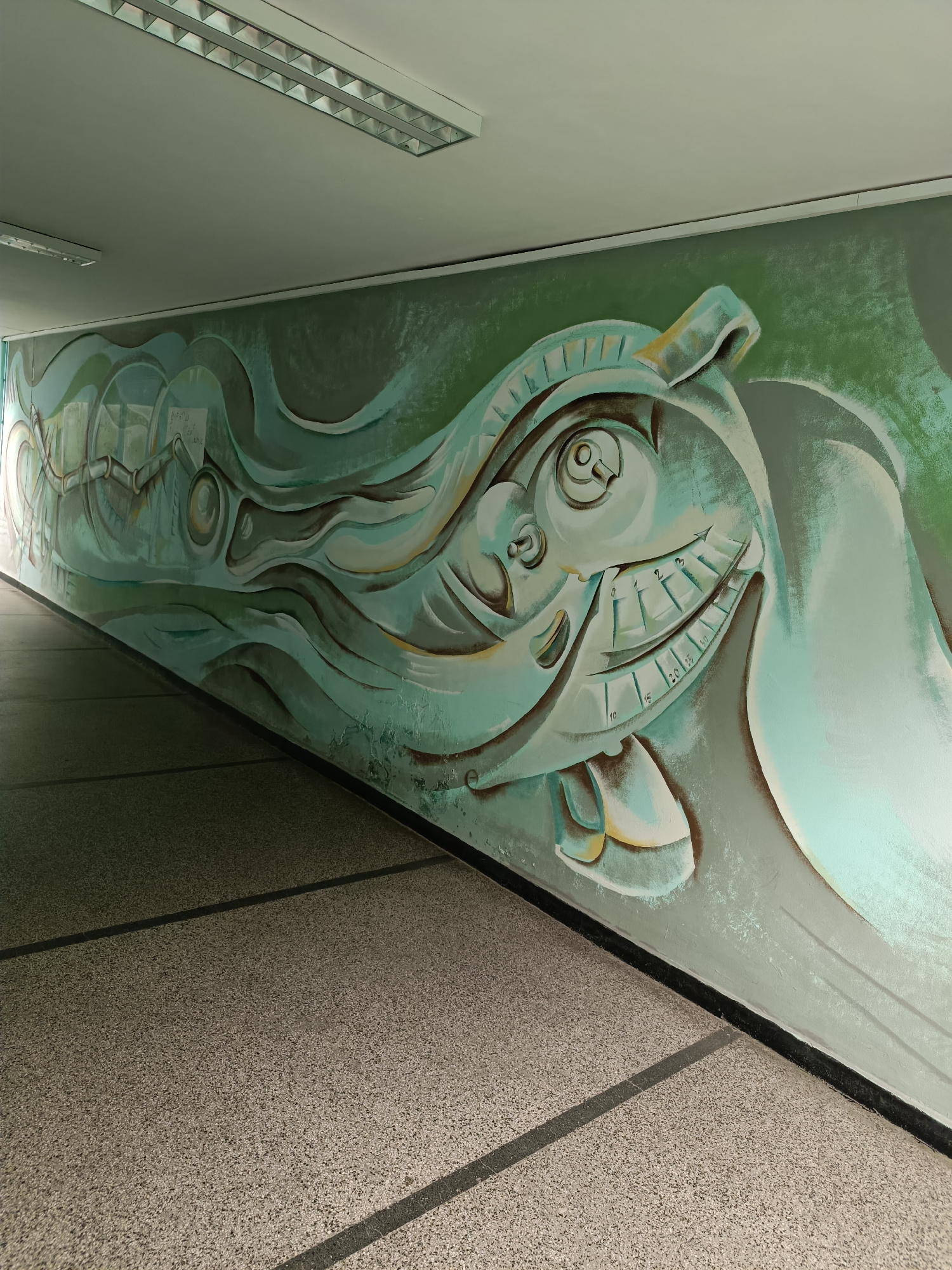 Sofia residents document street art and restaurant dining scenes