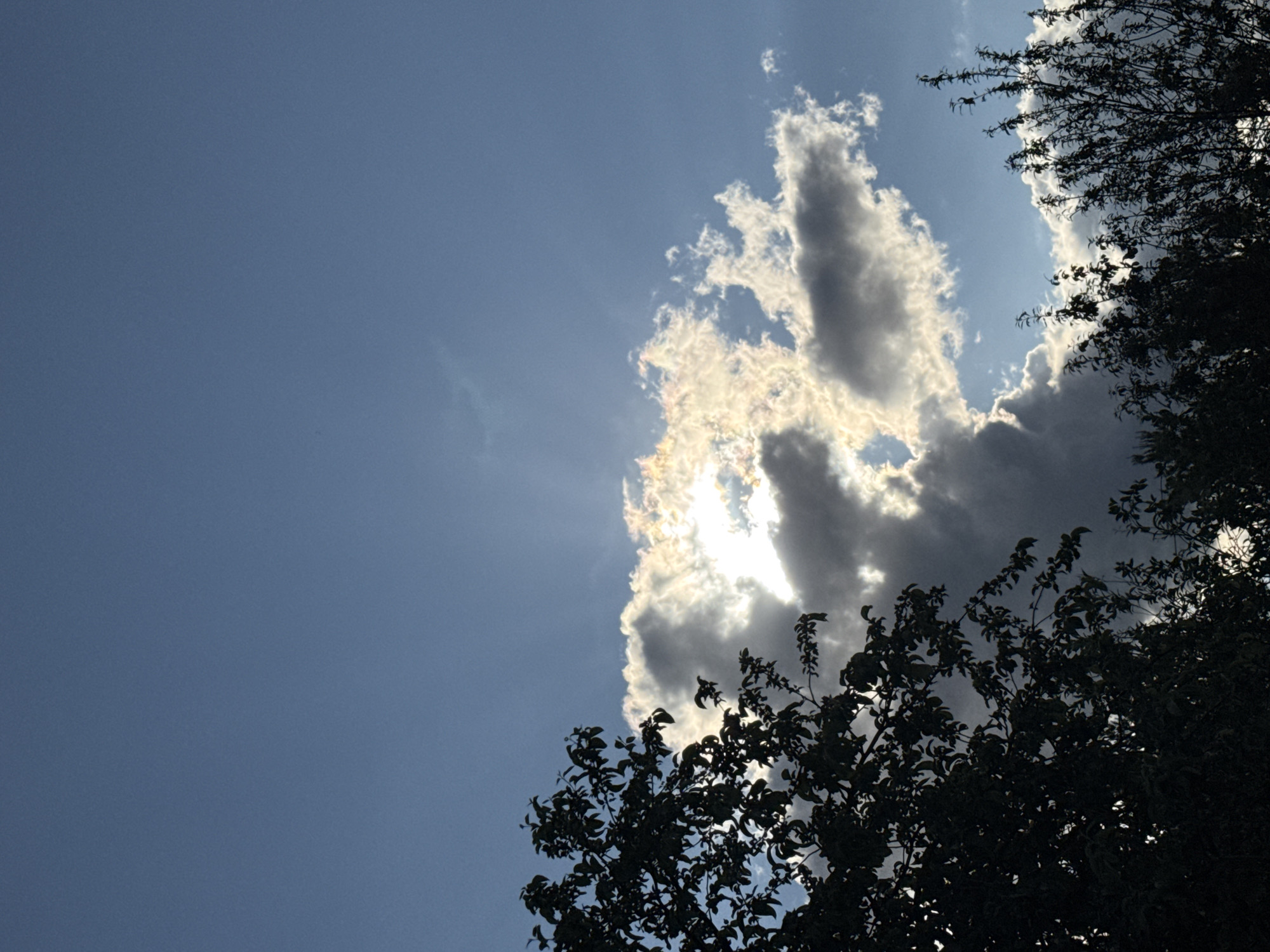 Clear skies with scattered clouds observed in Chaikovsky, Russia