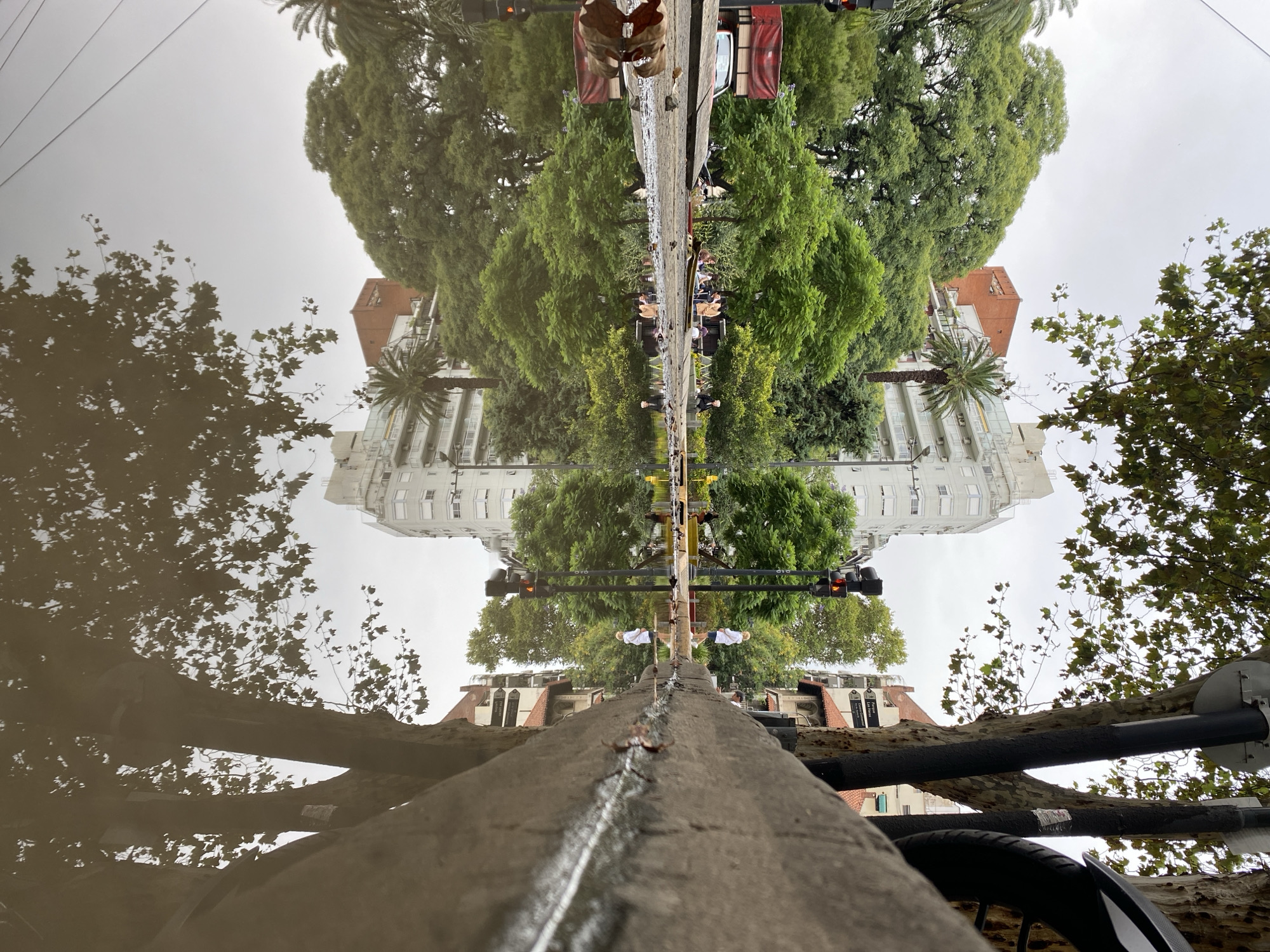 Buenos Aires landmarks and street scenes documented across city