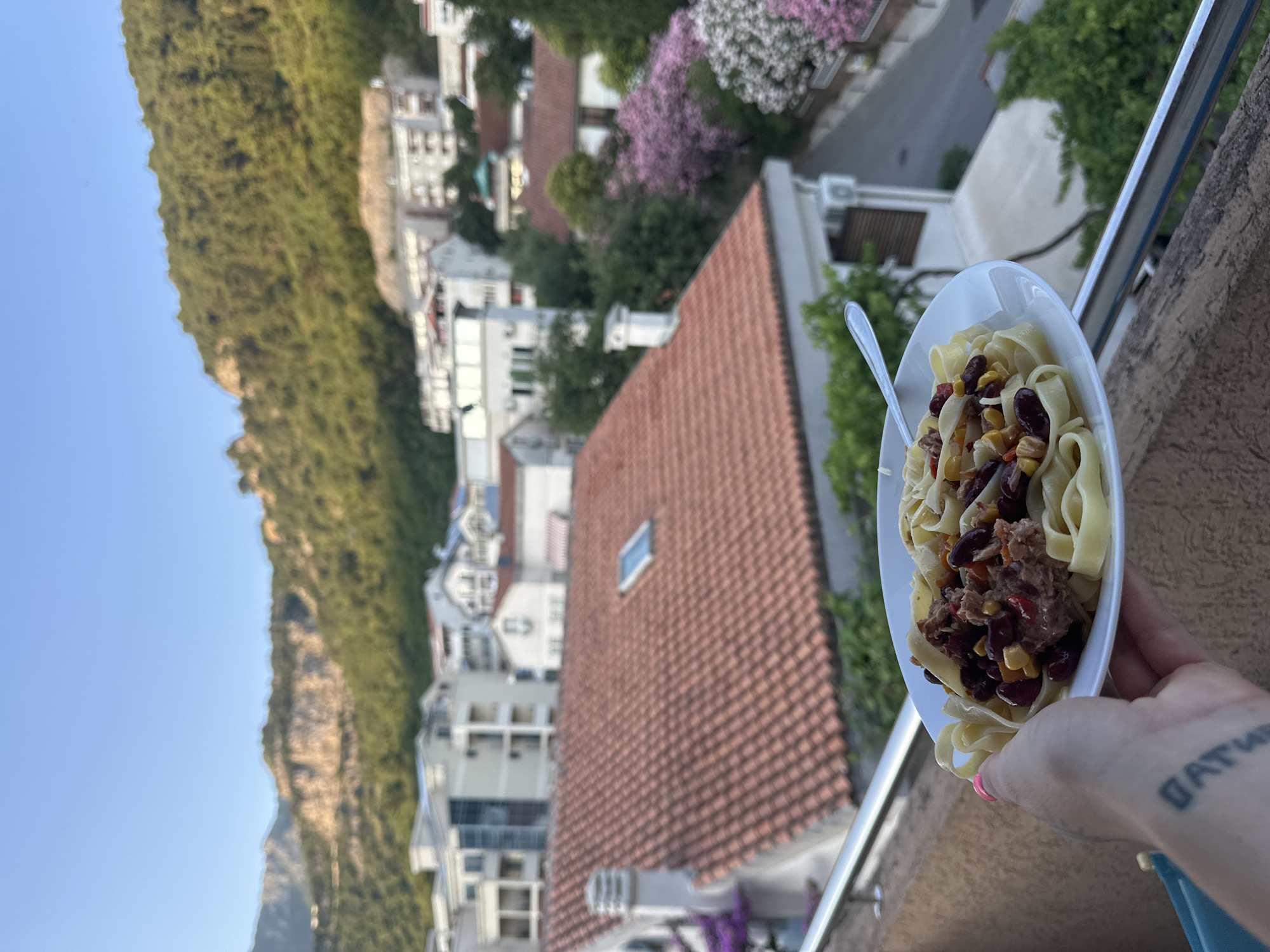Slice of life in Budva: cats, food, streets, and scenery
