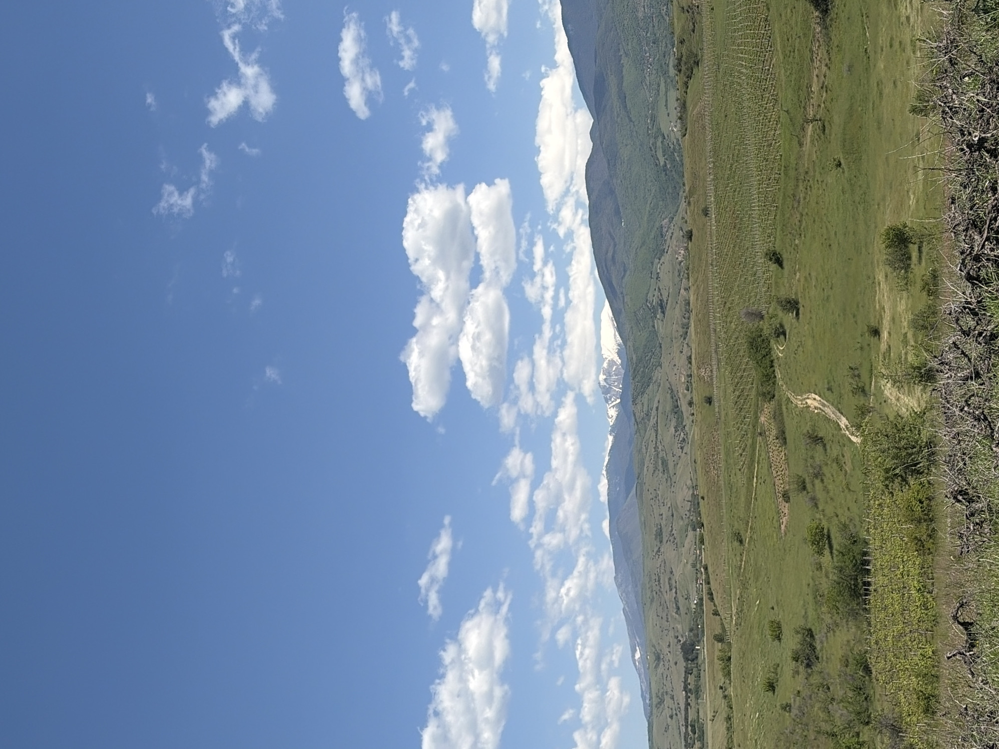 Mountain landscape with dirt path observed by witness