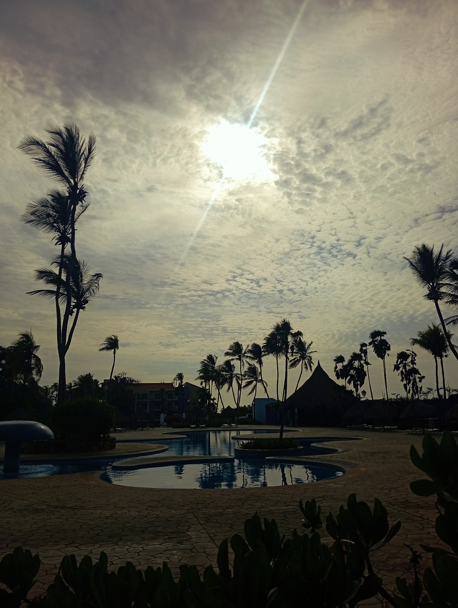 Resort scenes and dog captured at Playa El Agua