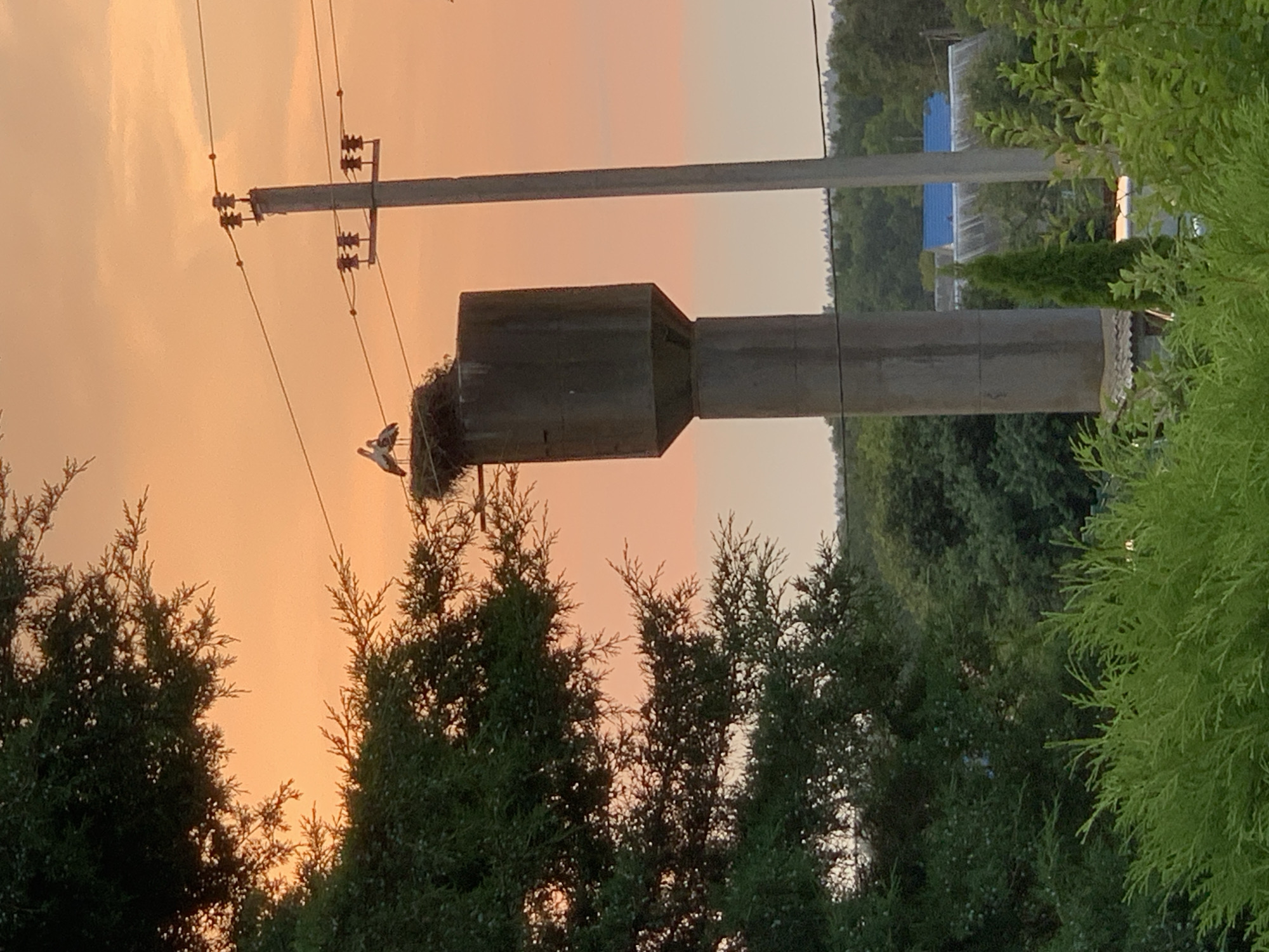 Sunset stroll through quiet residential Kapyĺ, Belarus