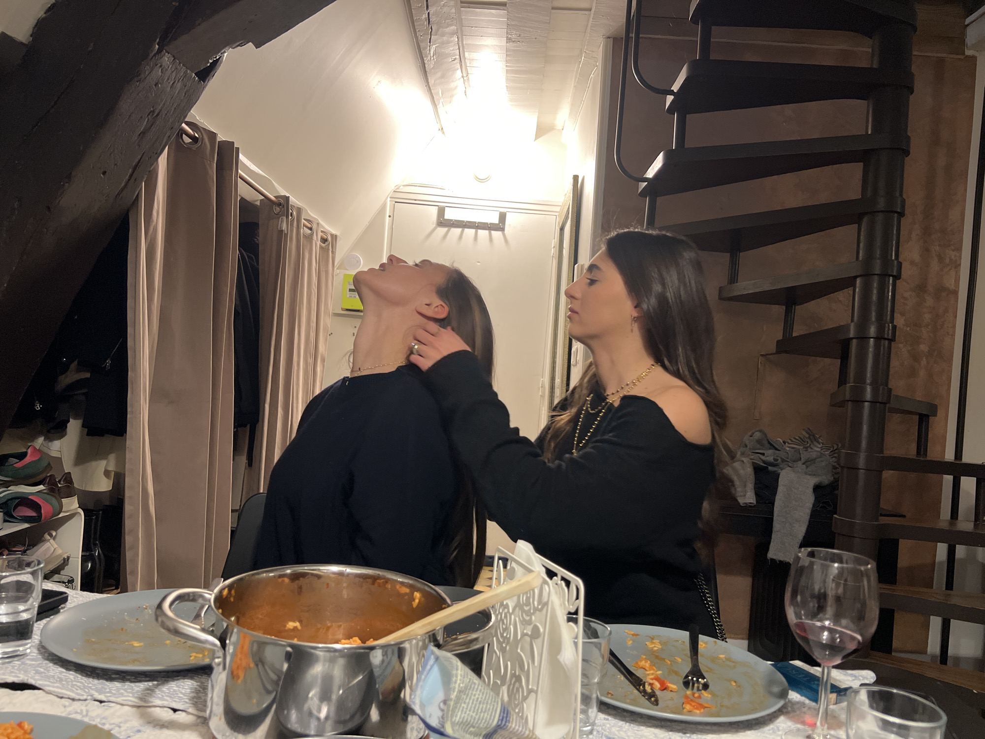Intimate dinner moment captured between two women in Paris apartment