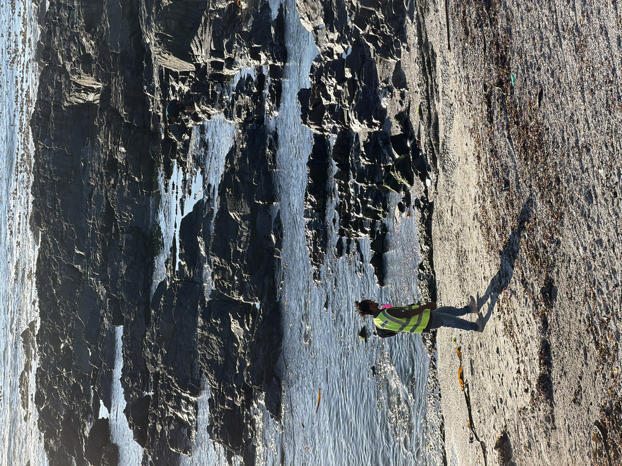 Sunday afternoon leisure activities captured across Cape Town coastal park