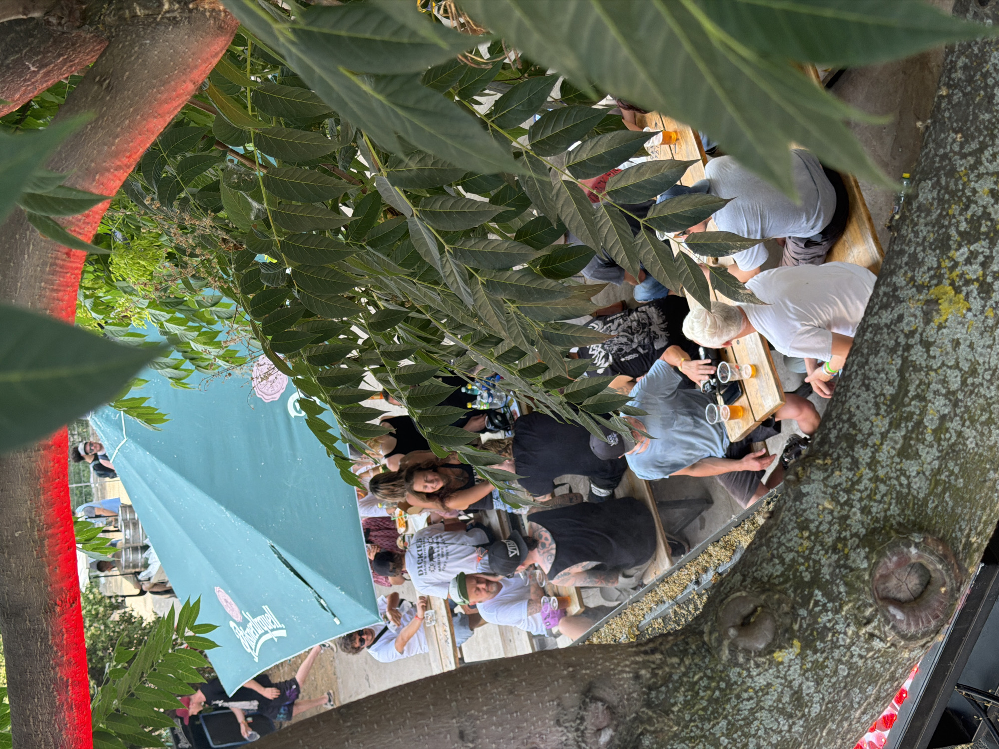 Beer garden hangout meets skate session in Prague