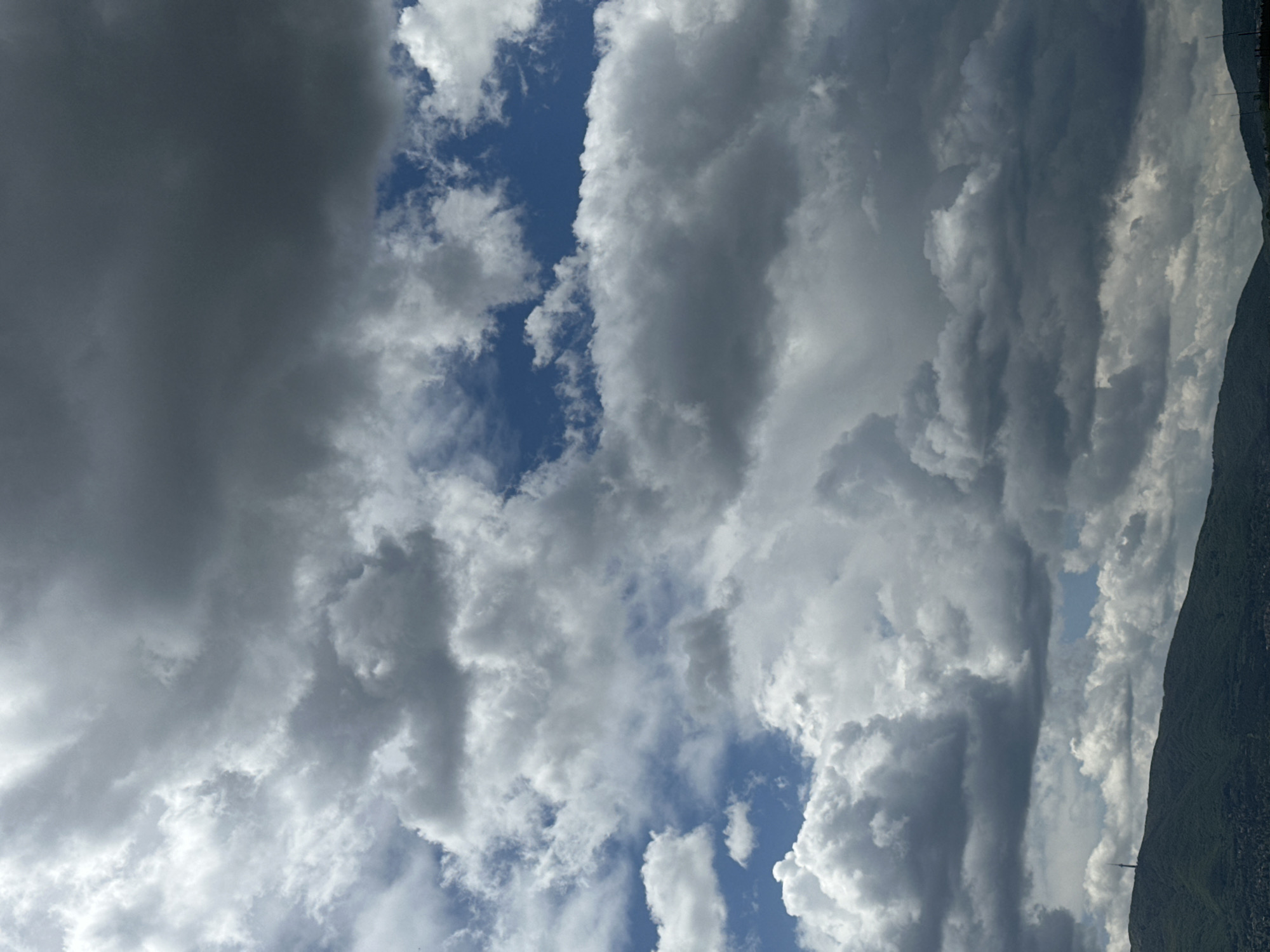 Book "Tranquility in the Storm" documented in Sofia