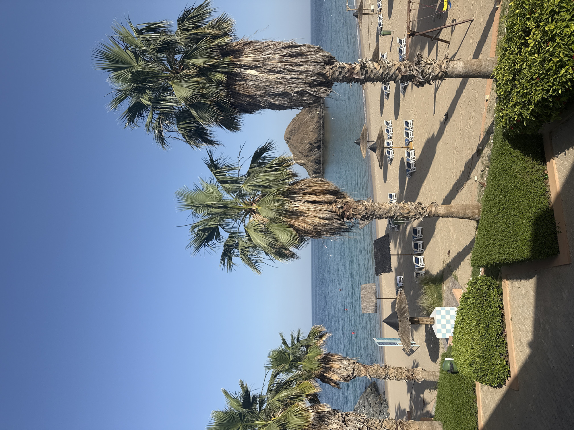 Sunny afternoon scenes documented in Al Aqah coastal area