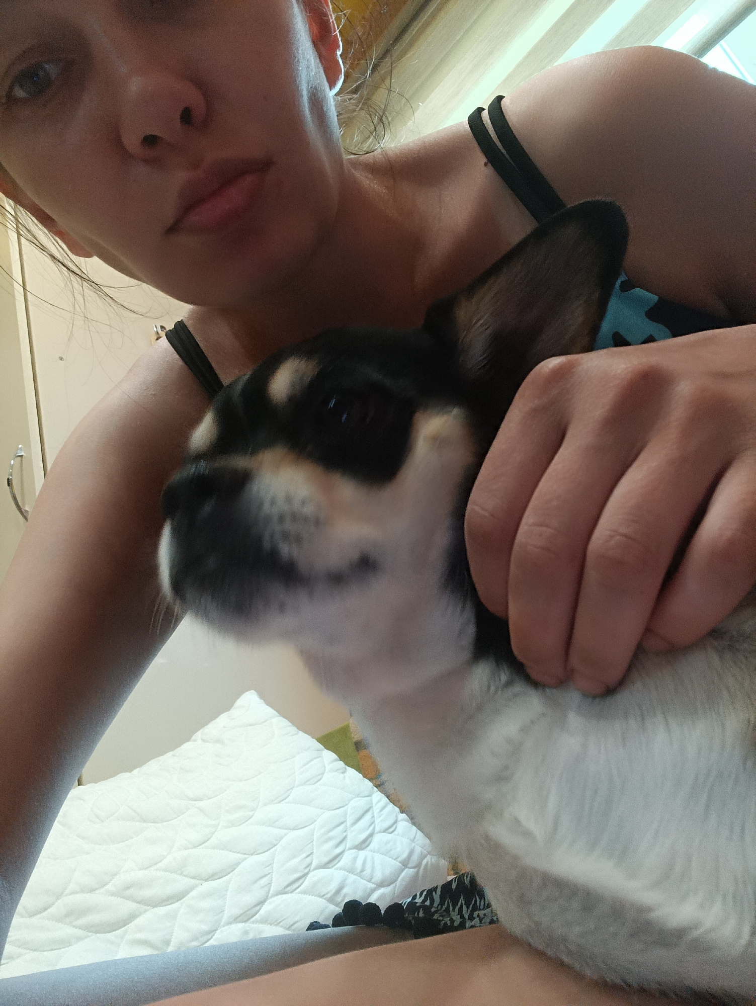 Lazy afternoon at home with pets, snacks, and a cold drink