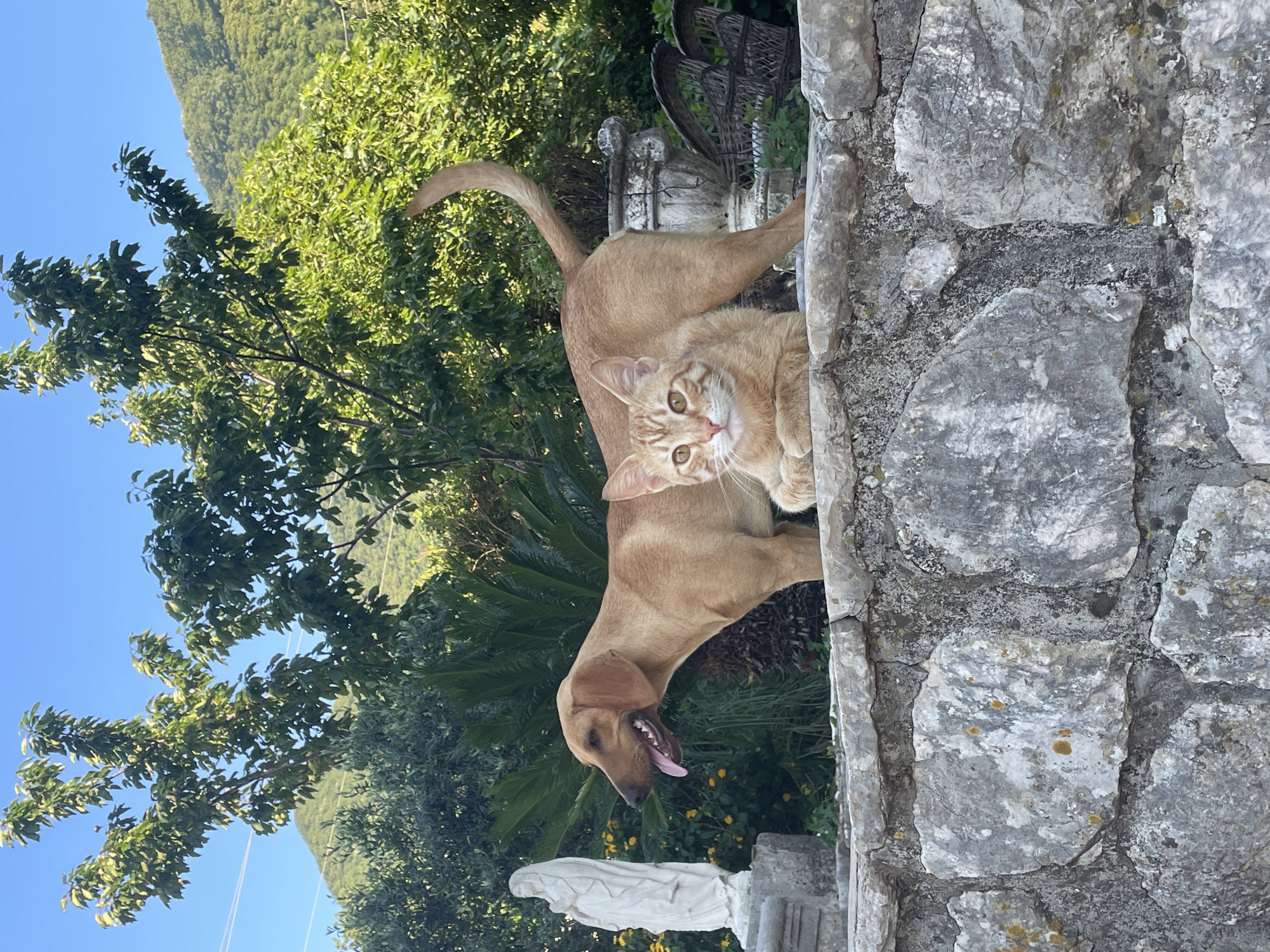 Tourist captures scenic Bay of Kotor views in Montenegro