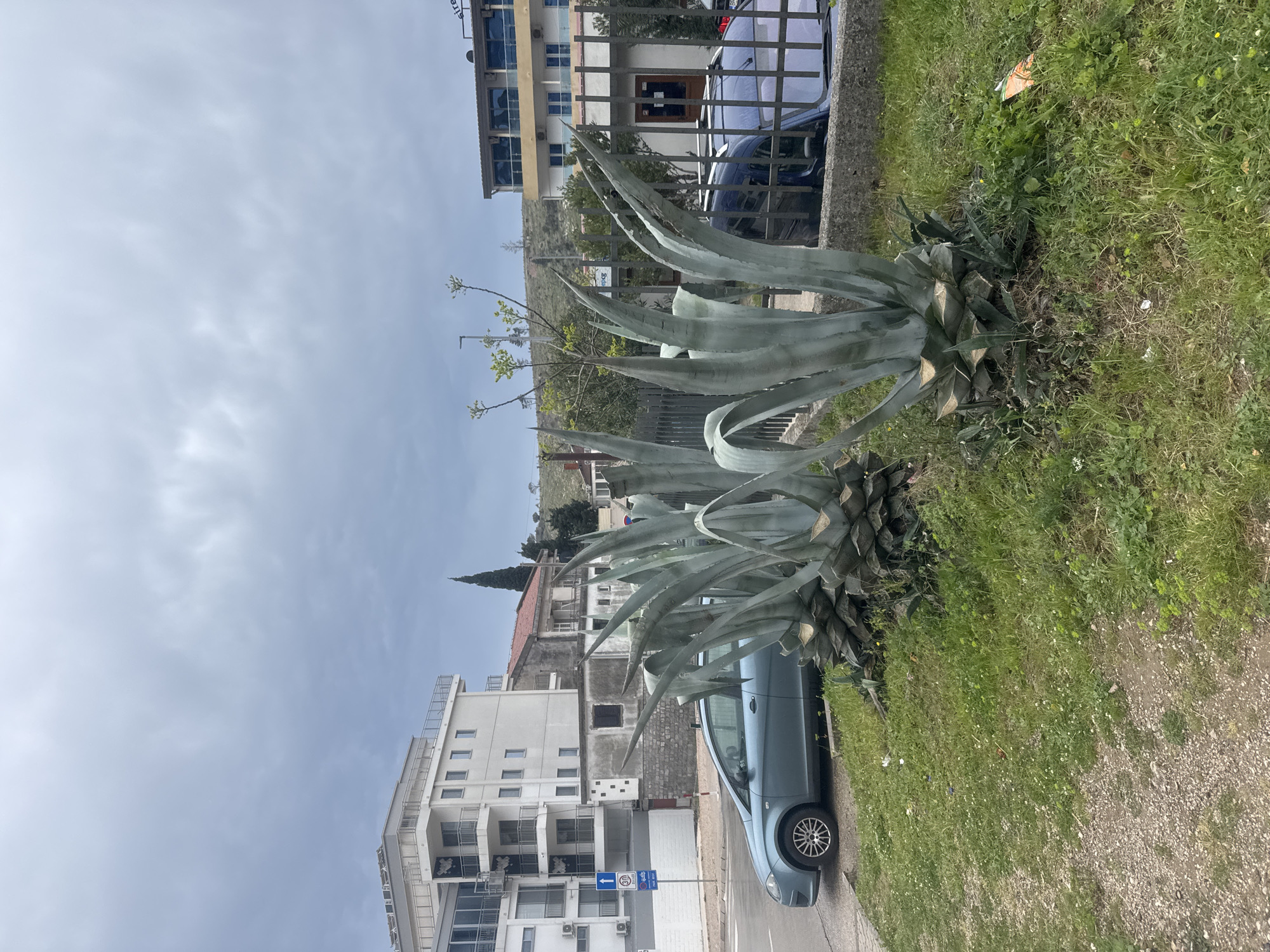 Street scenes documented in Sutomore, Montenegro