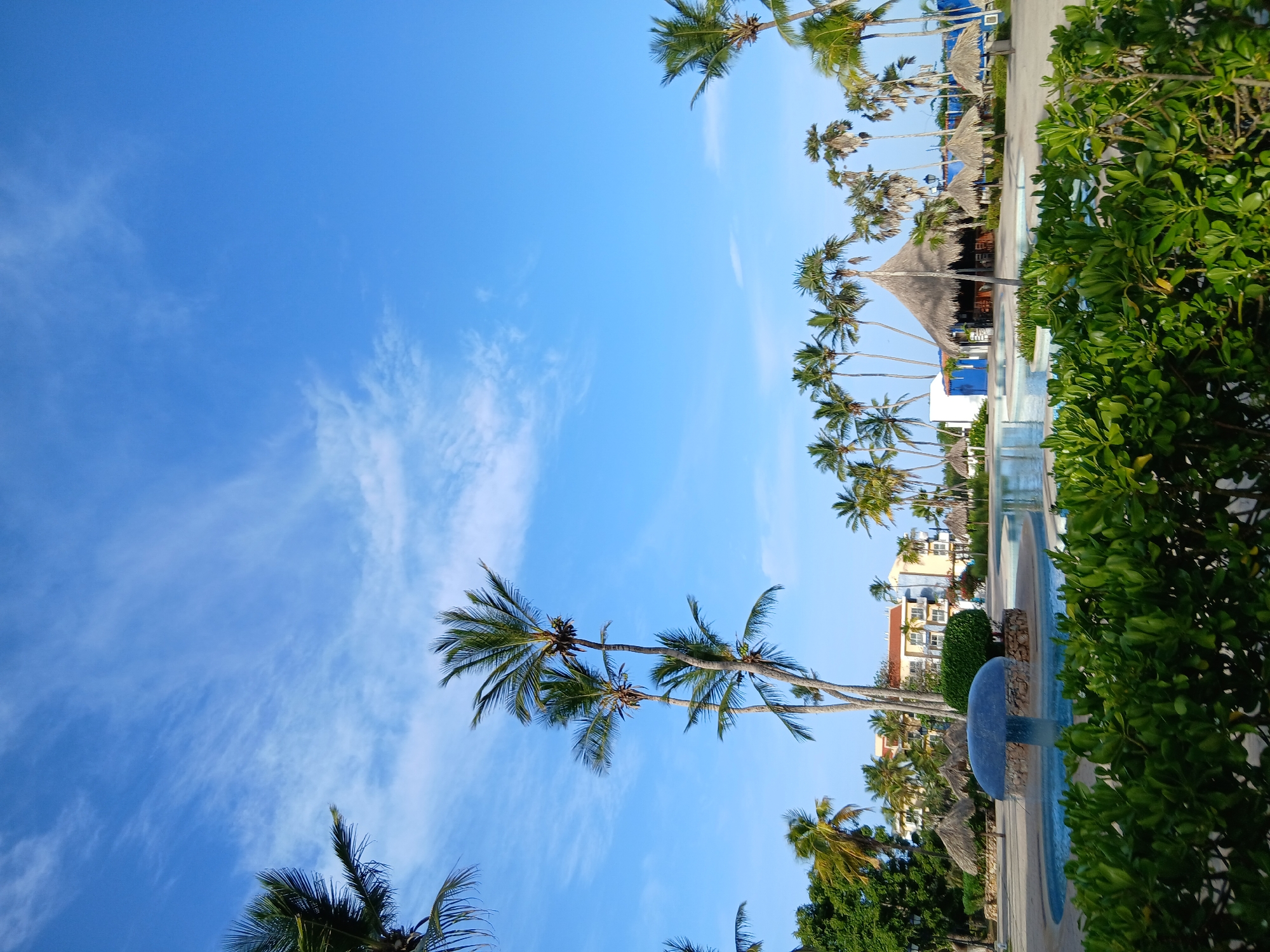 Resort grounds and beach palms at Playa El Agua, Venezuela